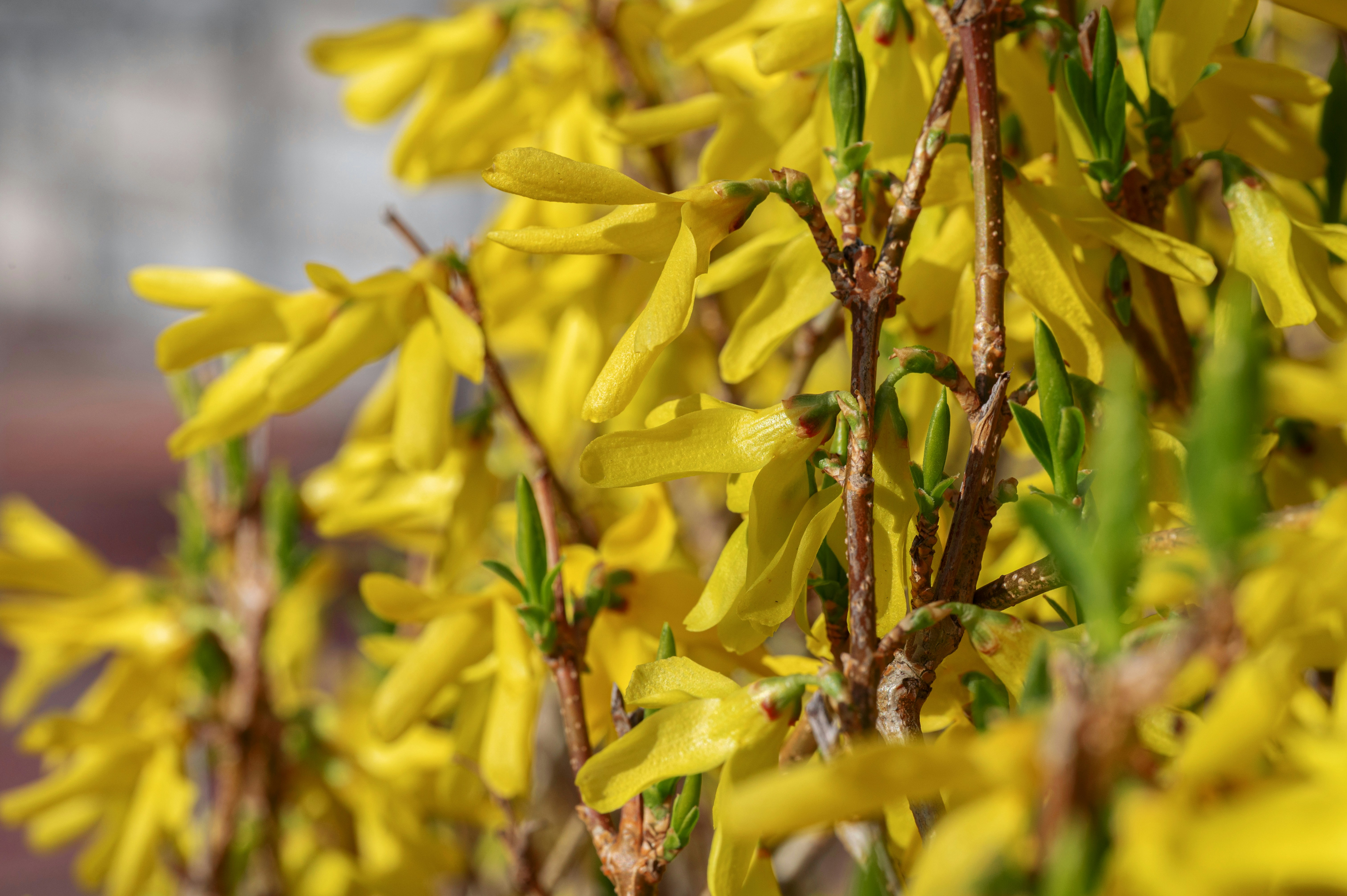 Photo by volodymyr_leush