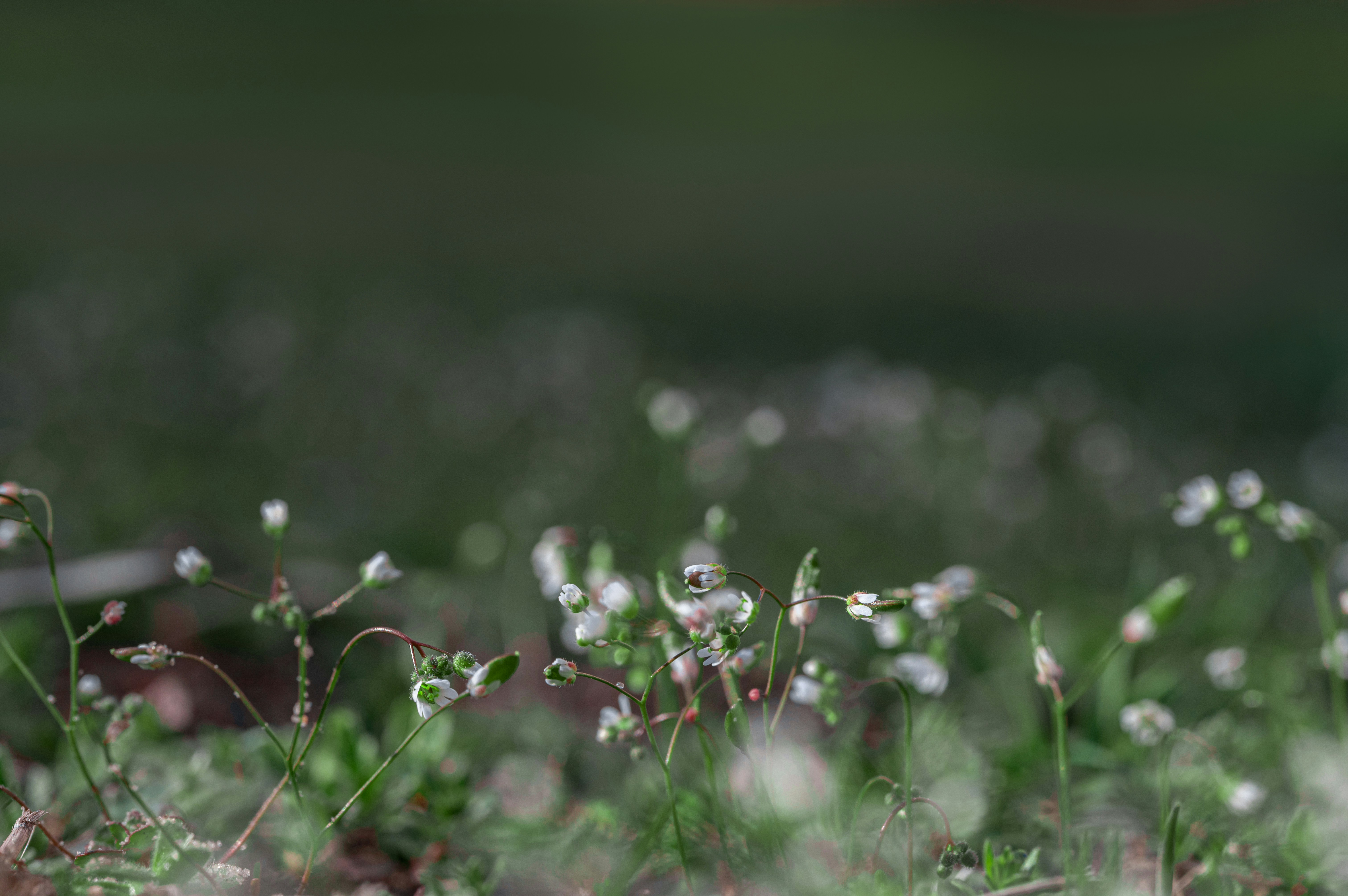 Photo by volodymyr_leush