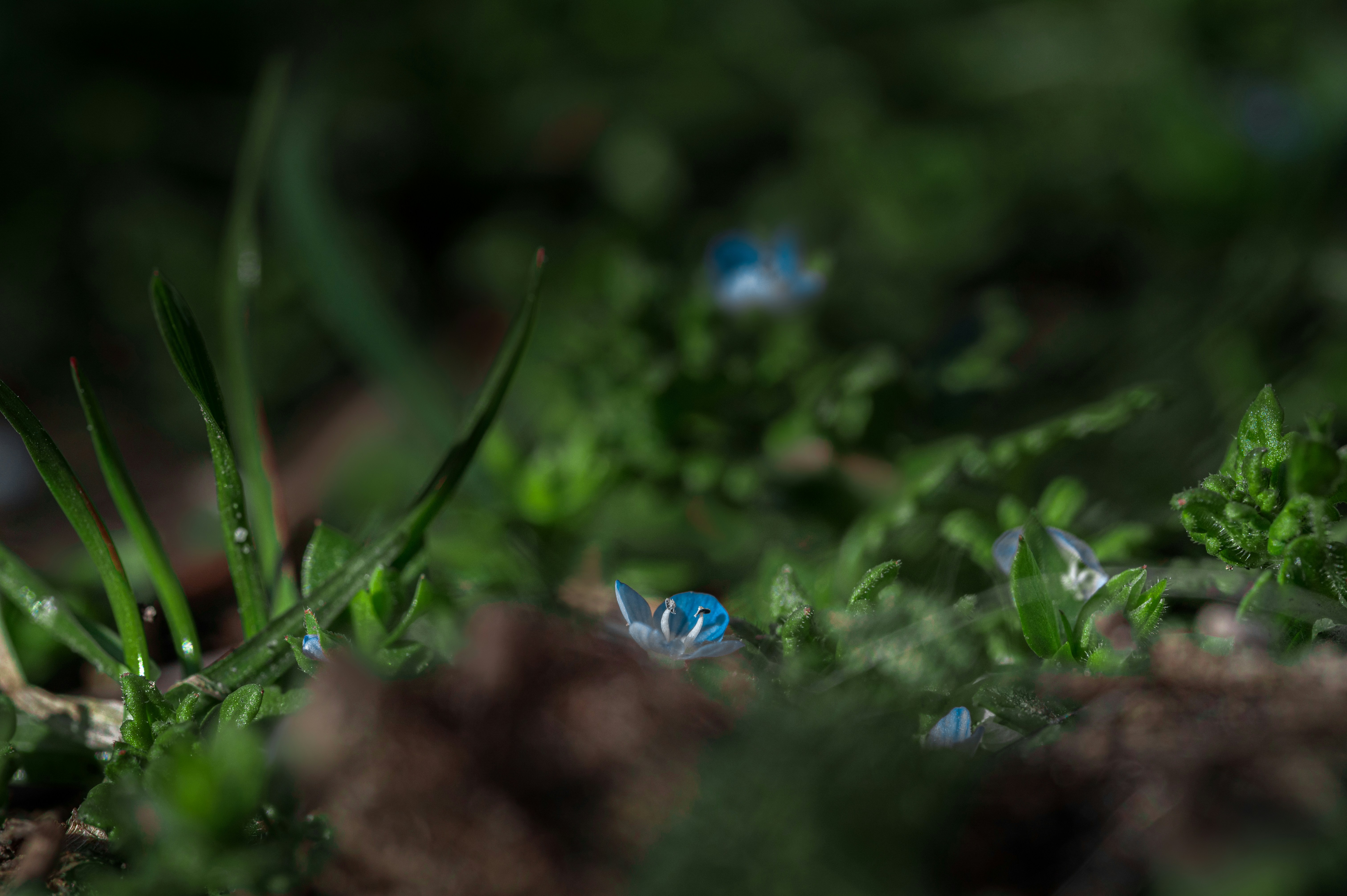 Photo by volodymyr_leush