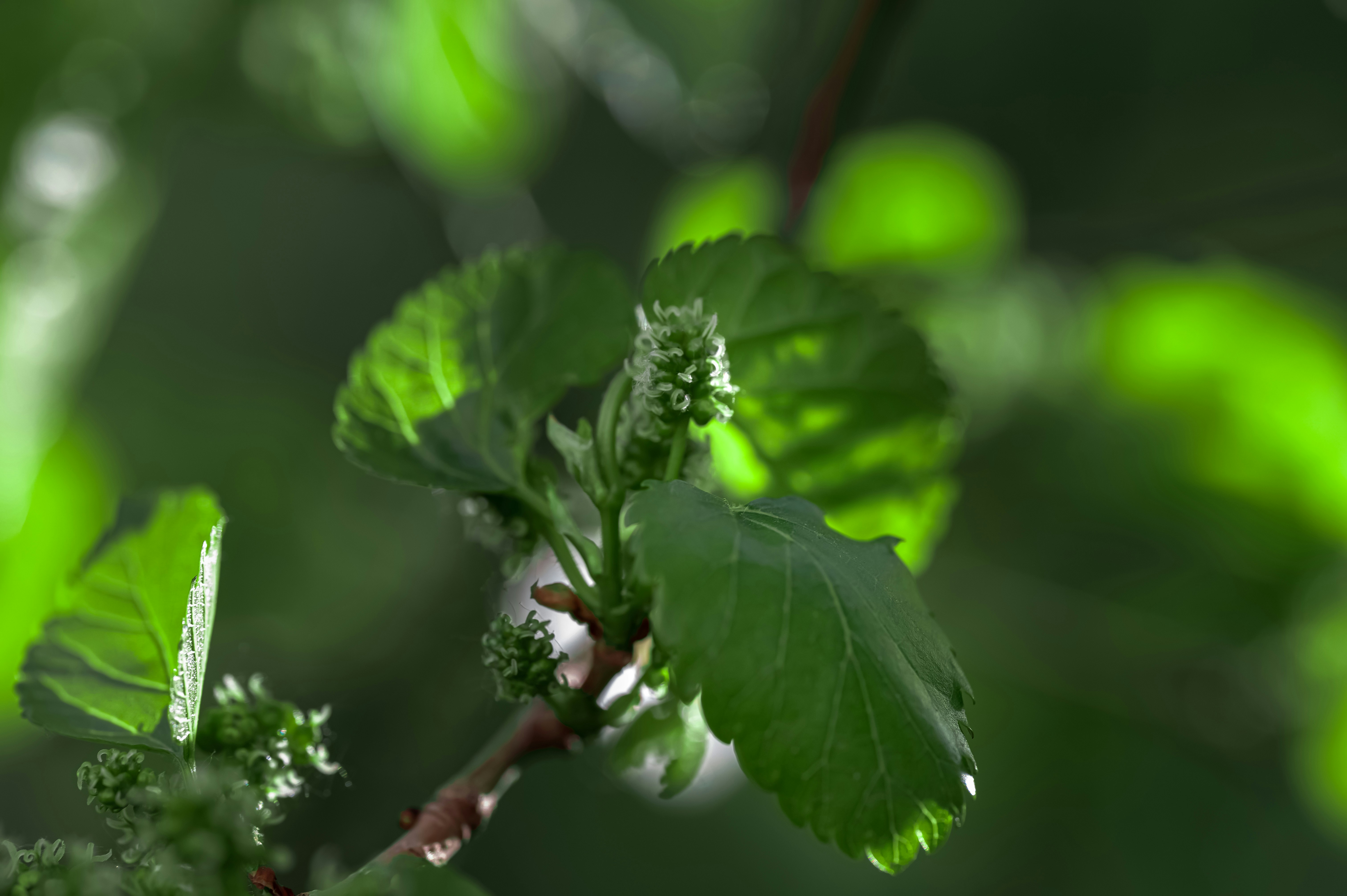 Photo by volodymyr_leush