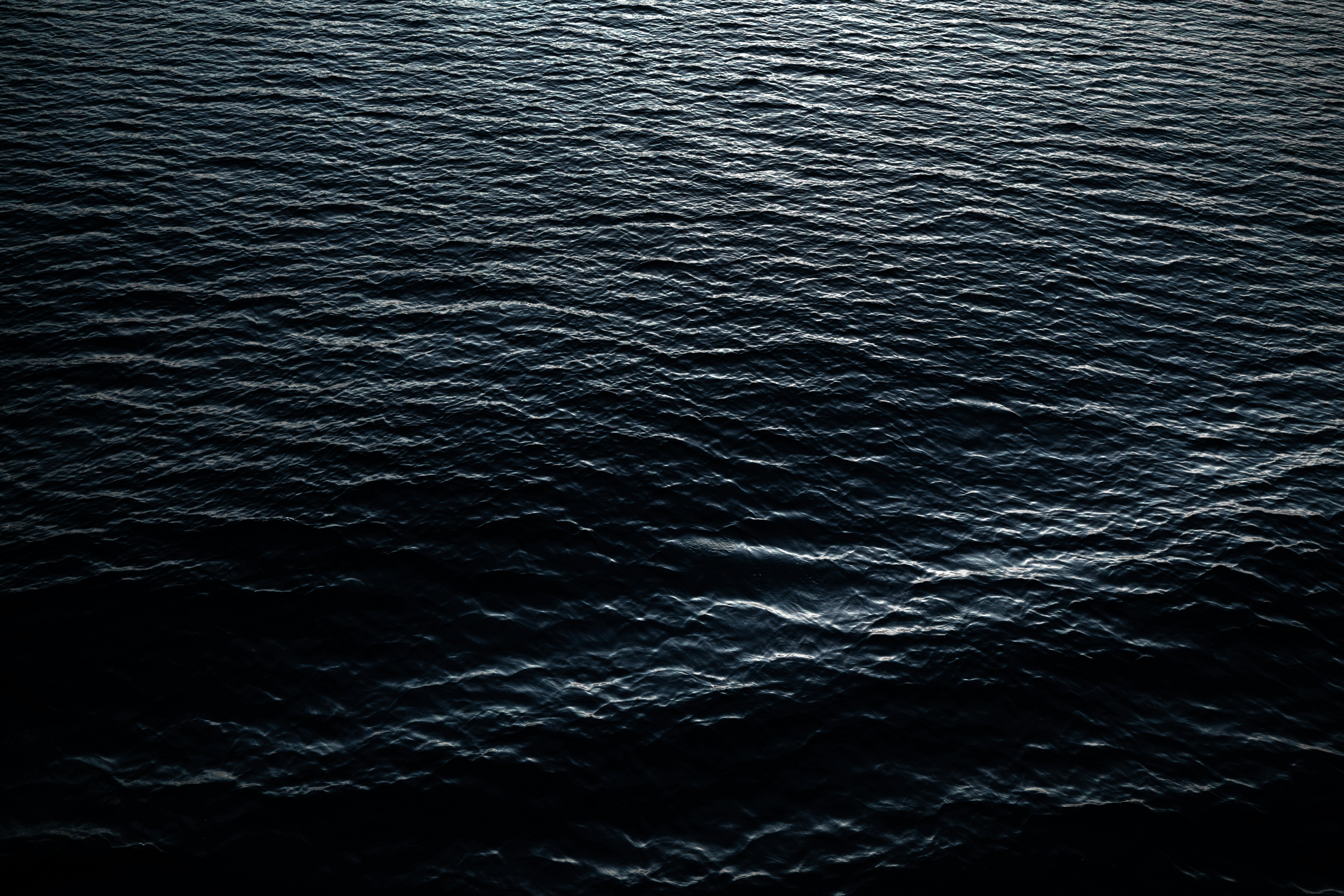 Dark, rippling water fills the entire frame.