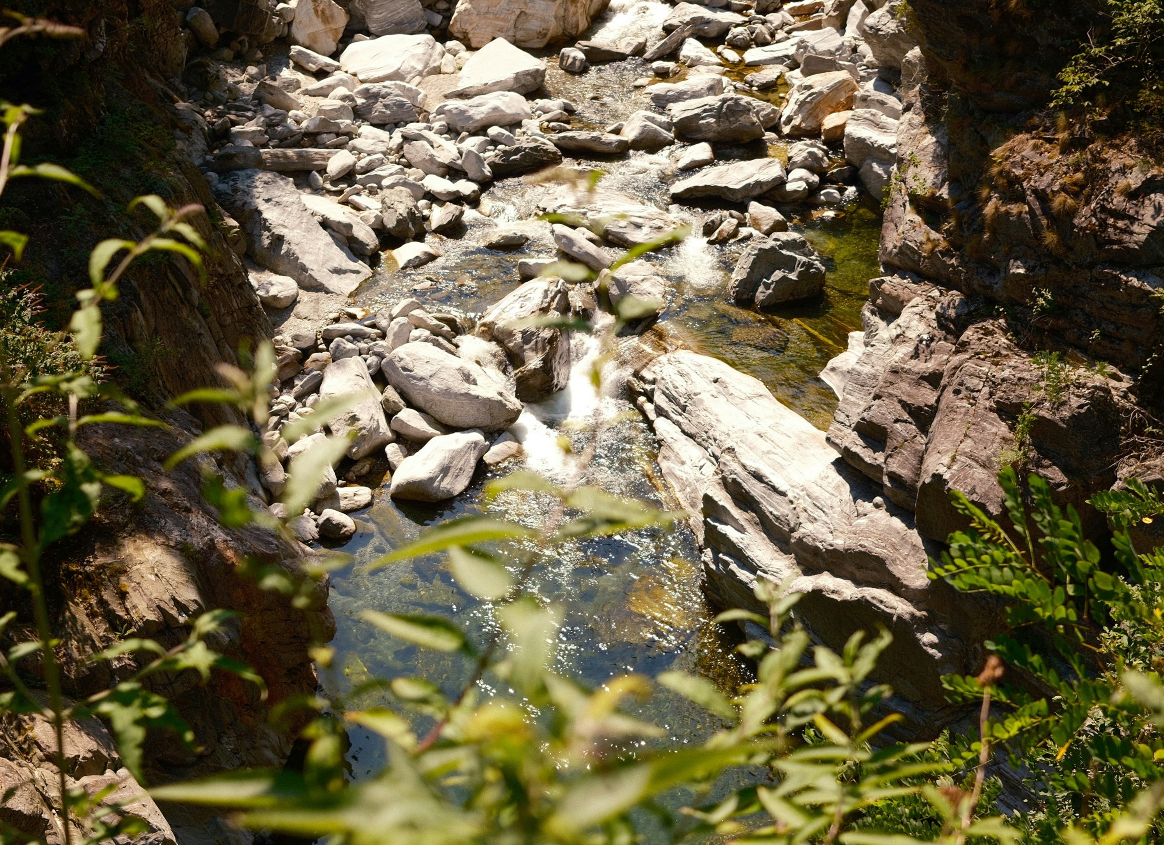 Photo by laurenceziegler