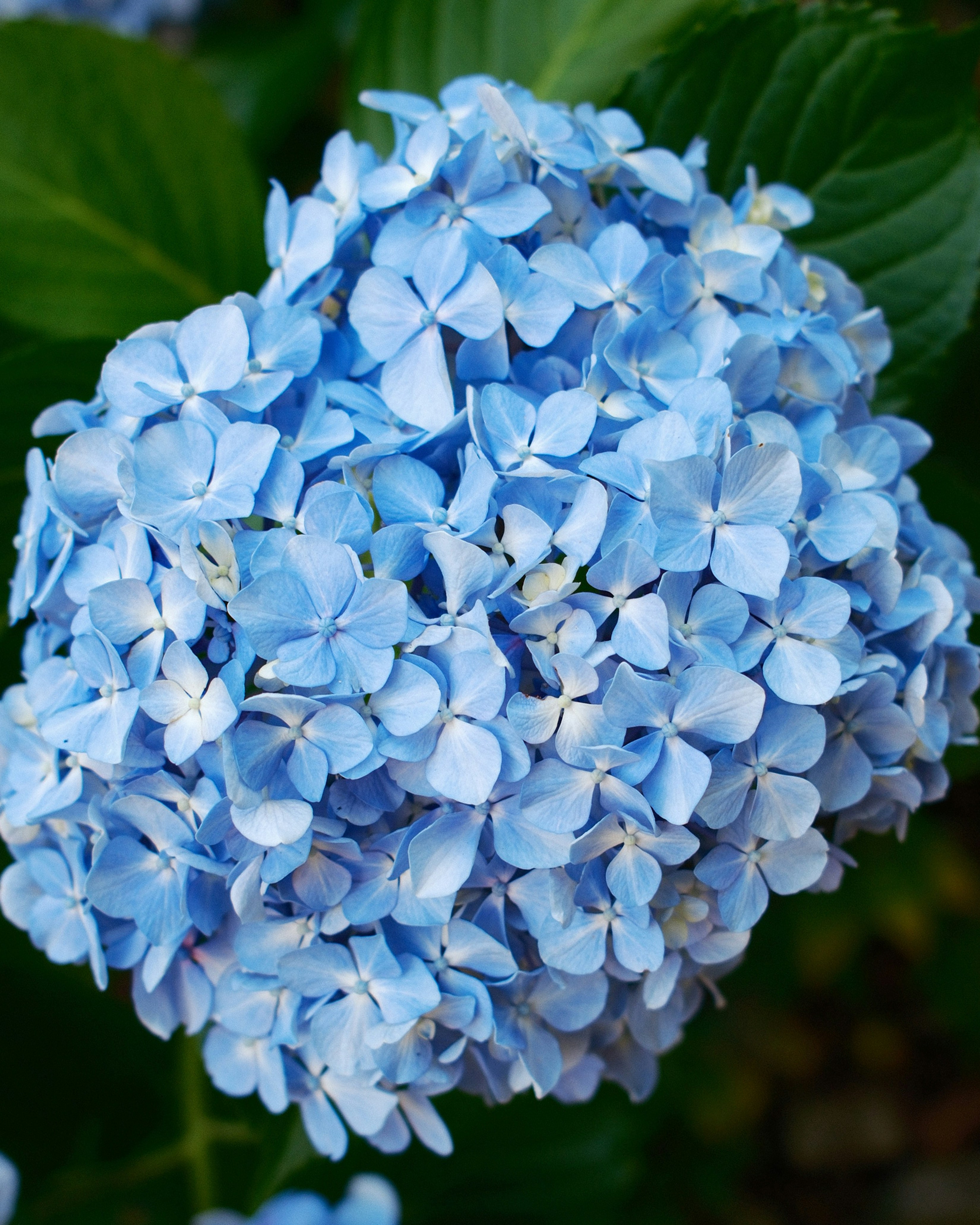 Photo by laurenceziegler