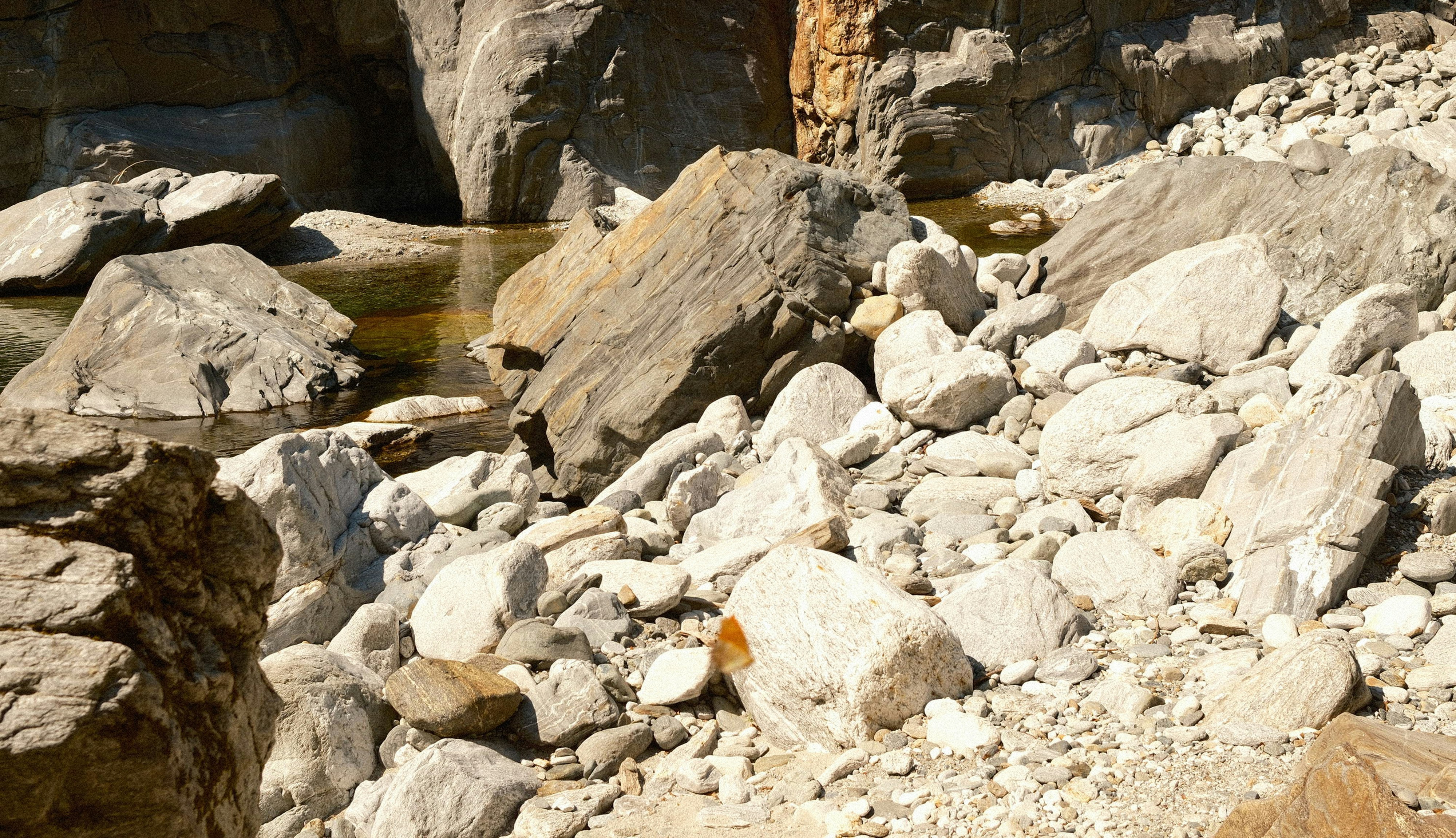 Photo by laurenceziegler