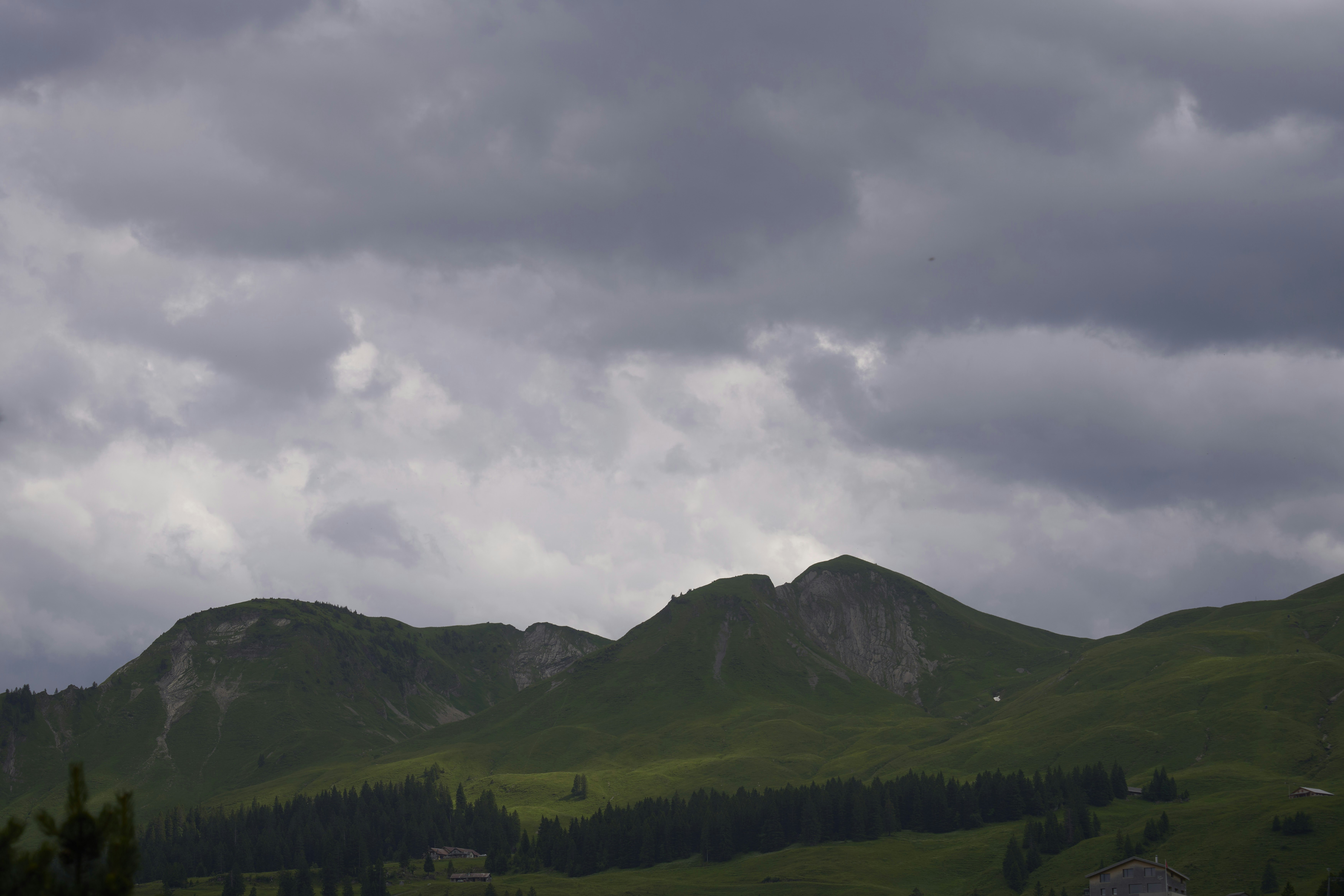 Photo by wolfgang_hasselmann