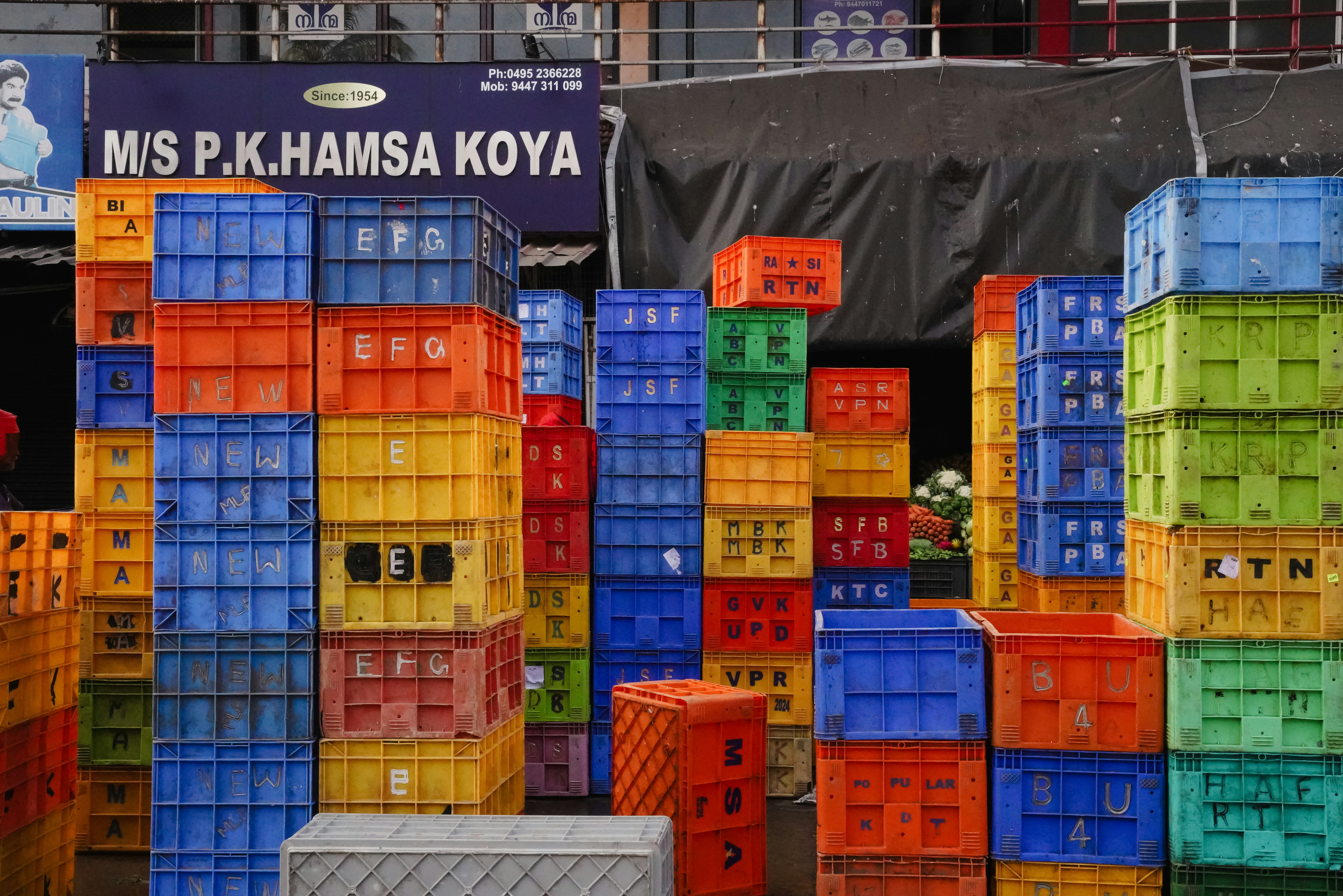 Panic Buying Disrupts Supply Chains, Exposes Economic Vulnerabilities