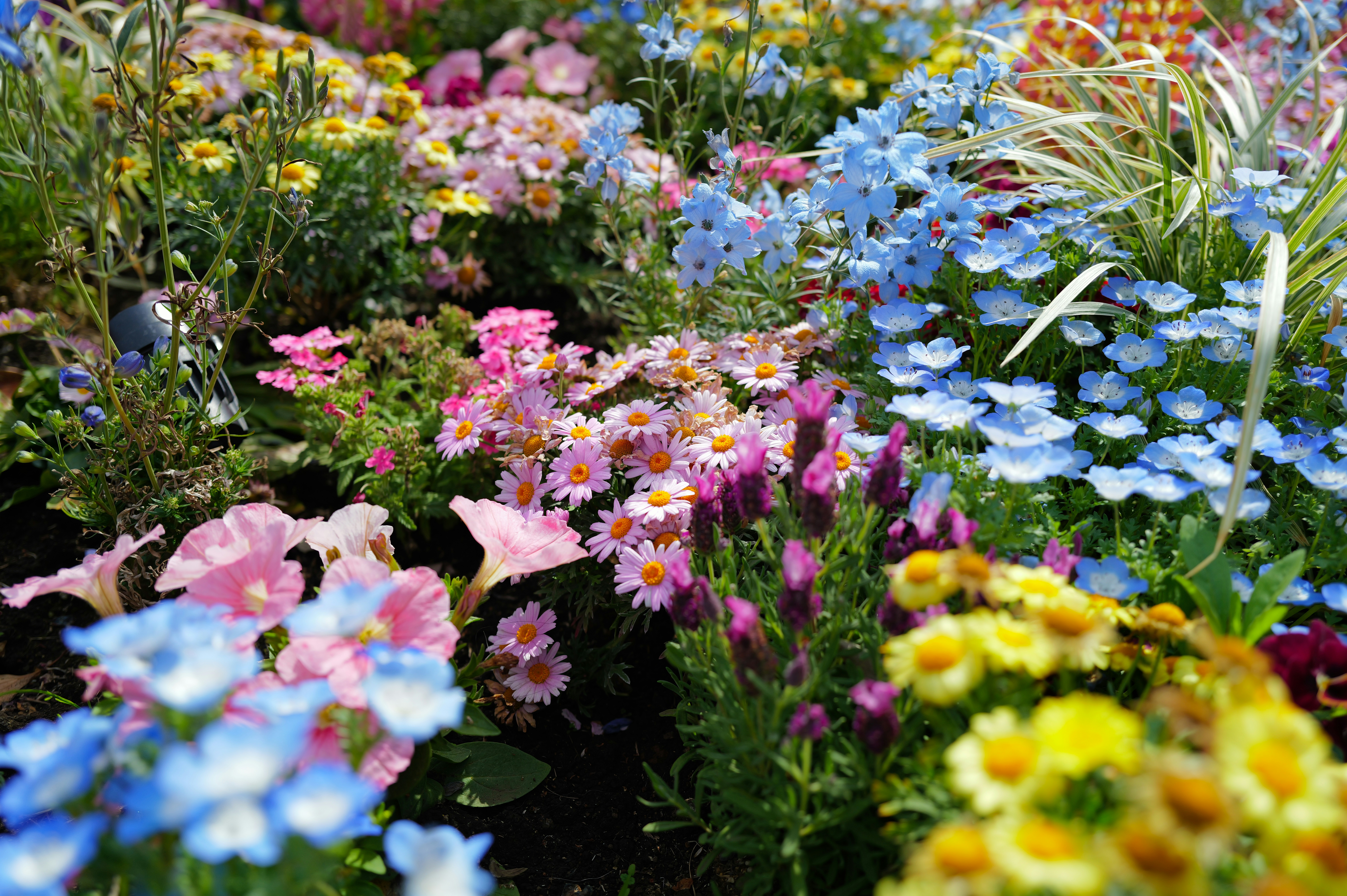 Photo by soflightsto