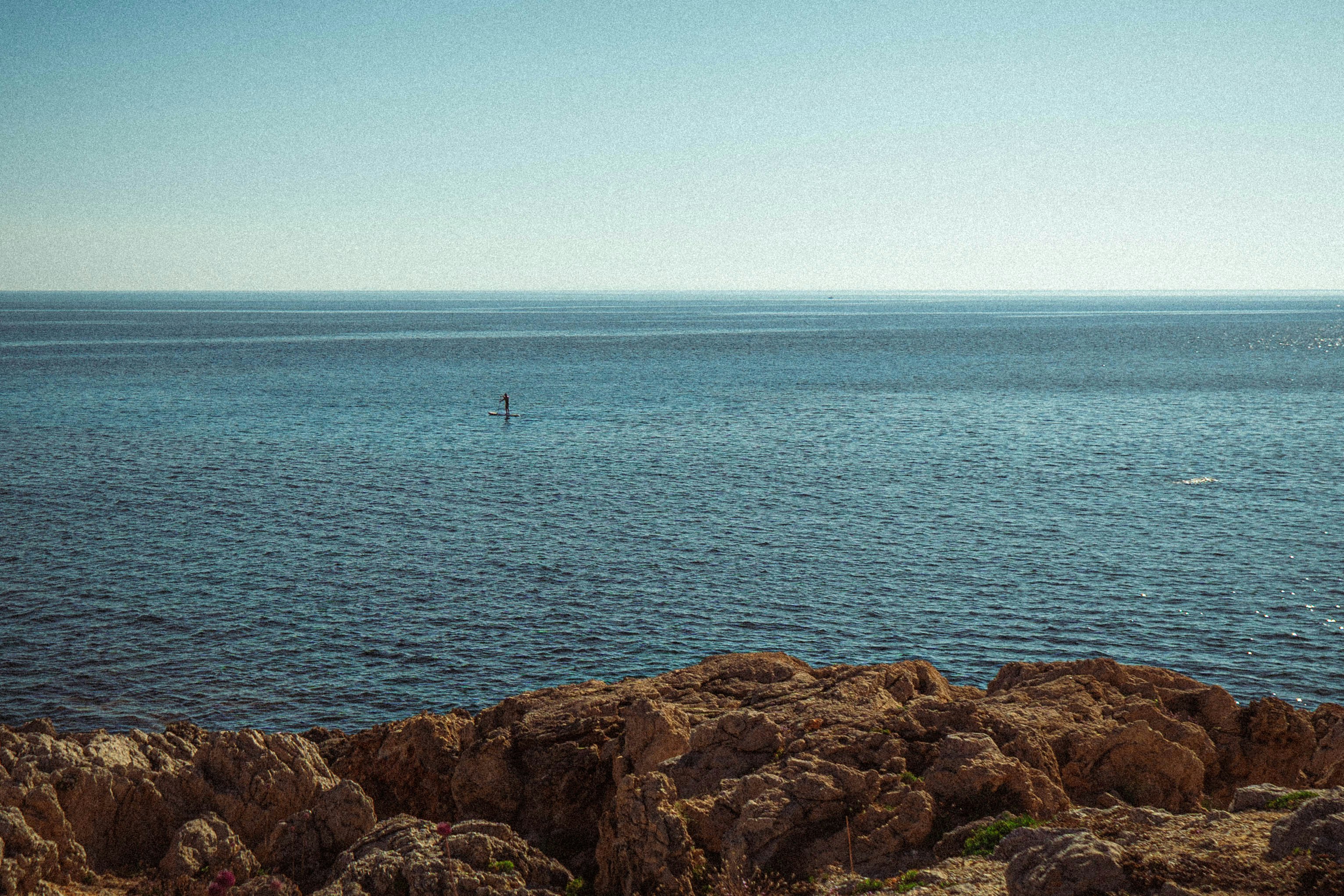 Photo by thepollenpolin