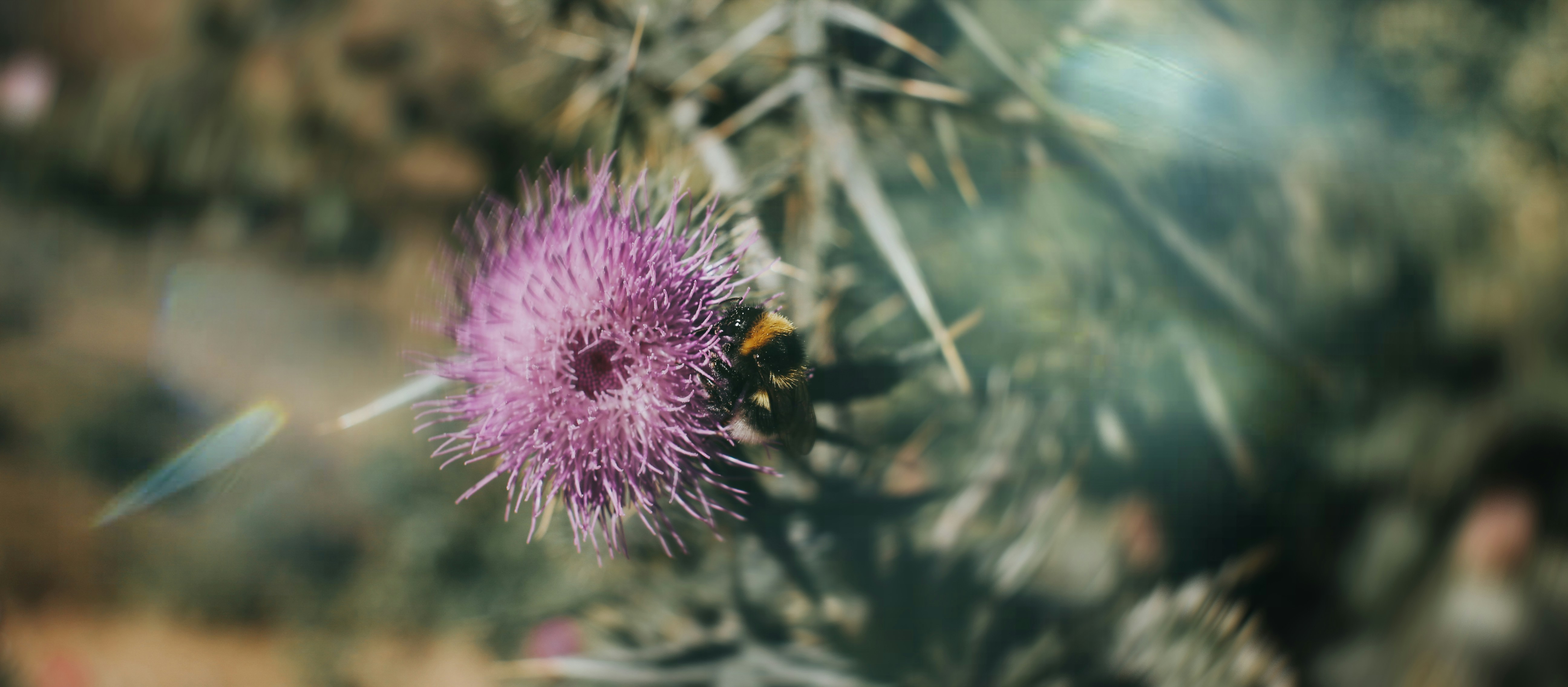 Photo by matthewryanstephenson