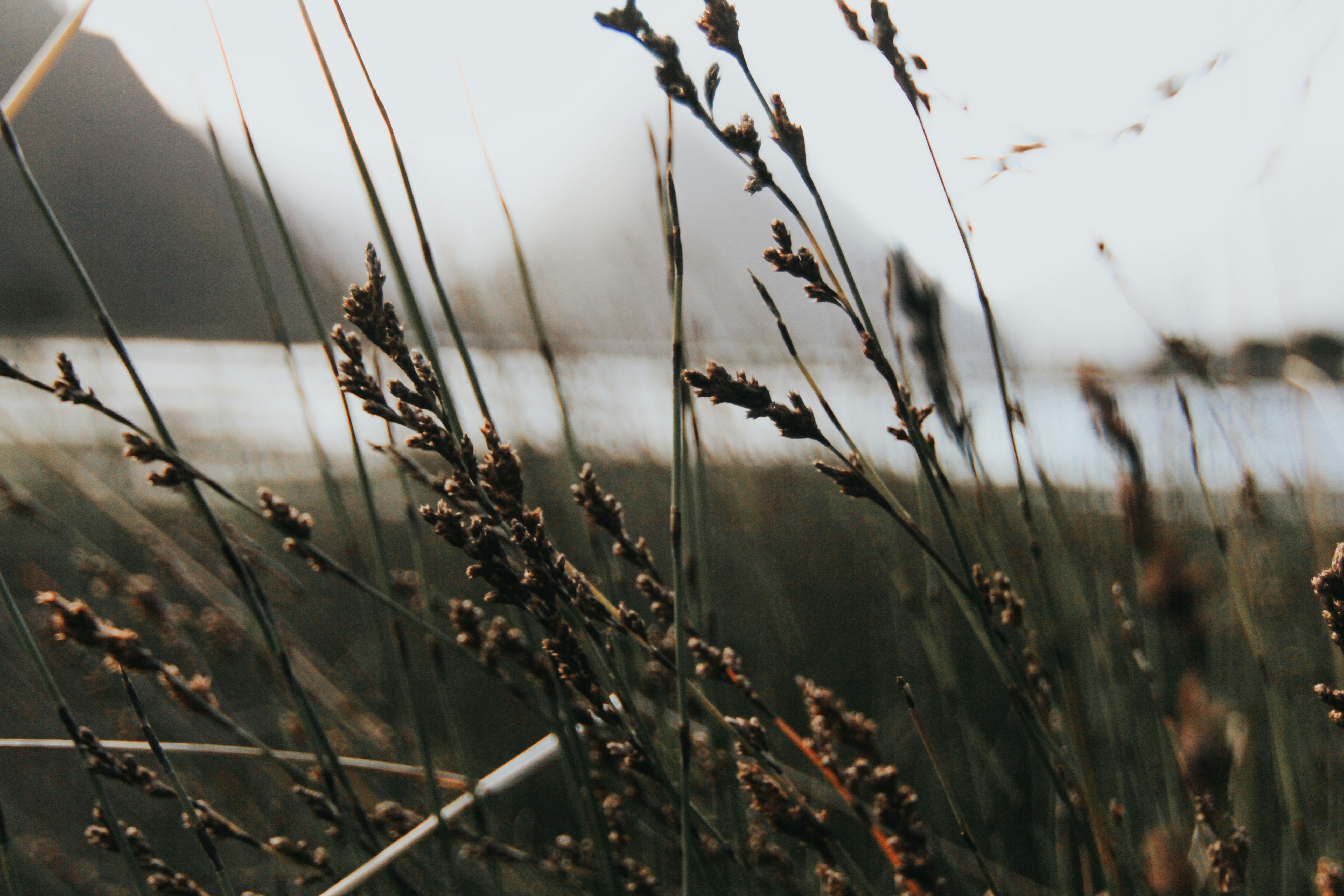 Photo by matthewryanstephenson