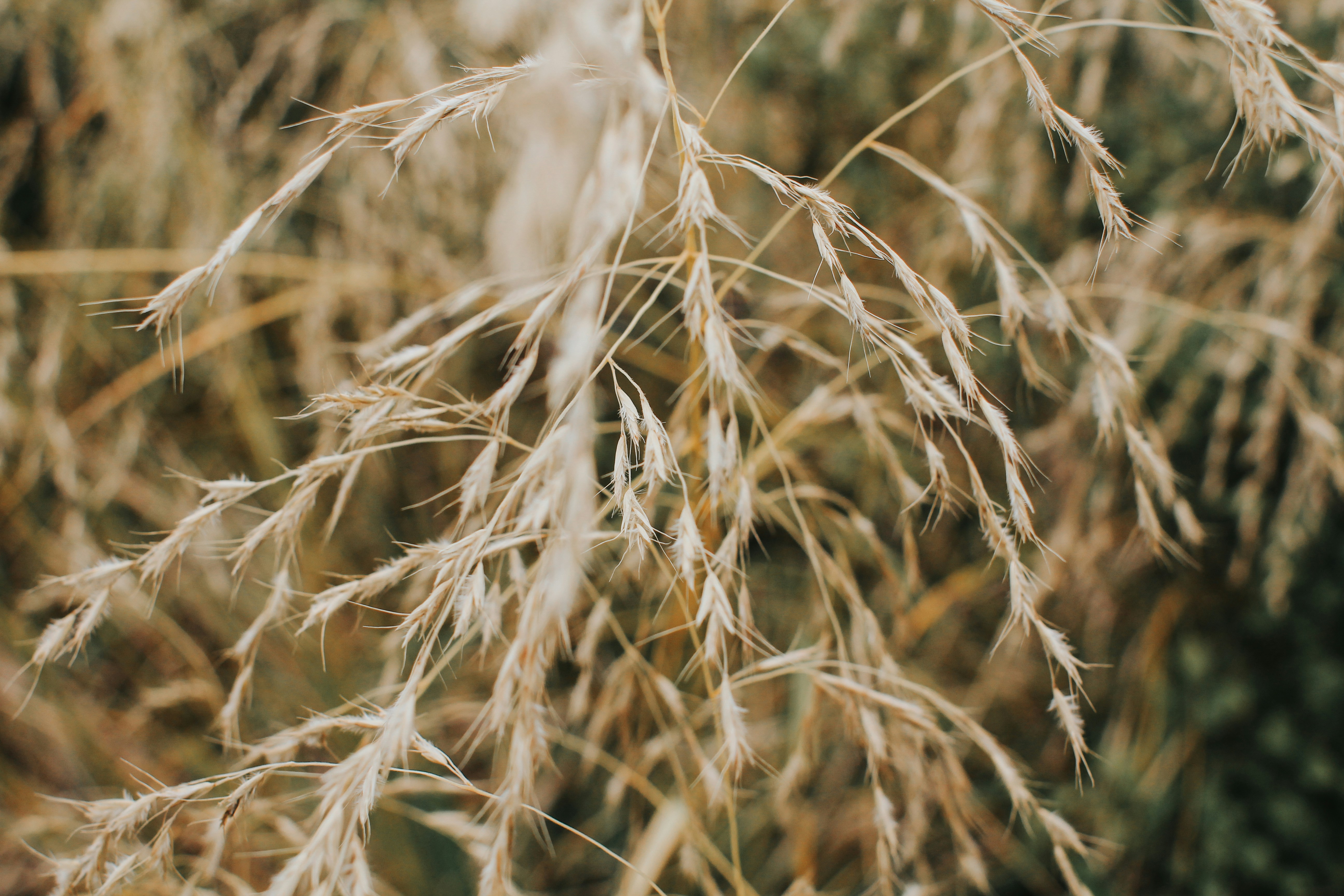 Photo by matthewryanstephenson