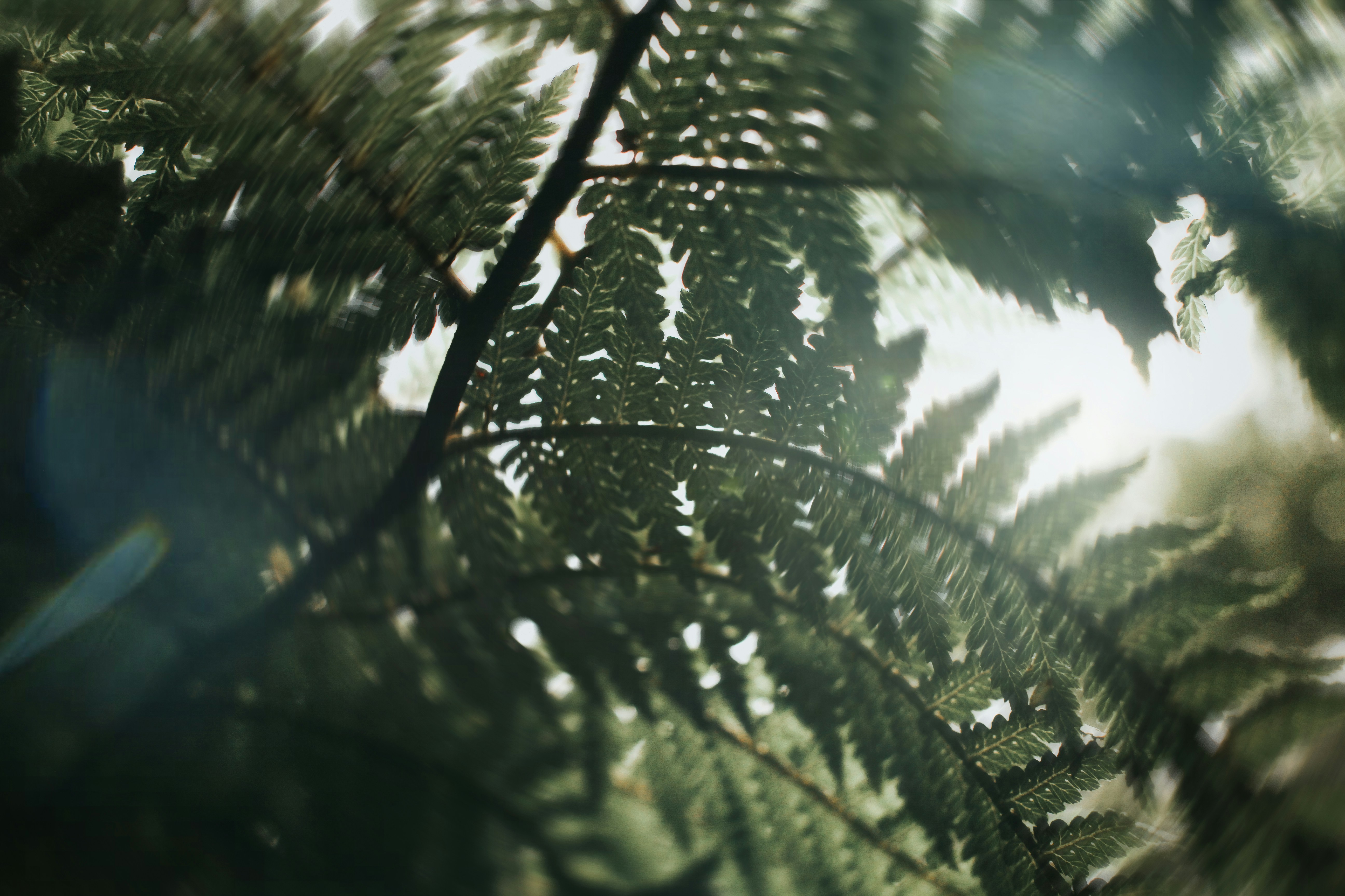 Photo by matthewryanstephenson