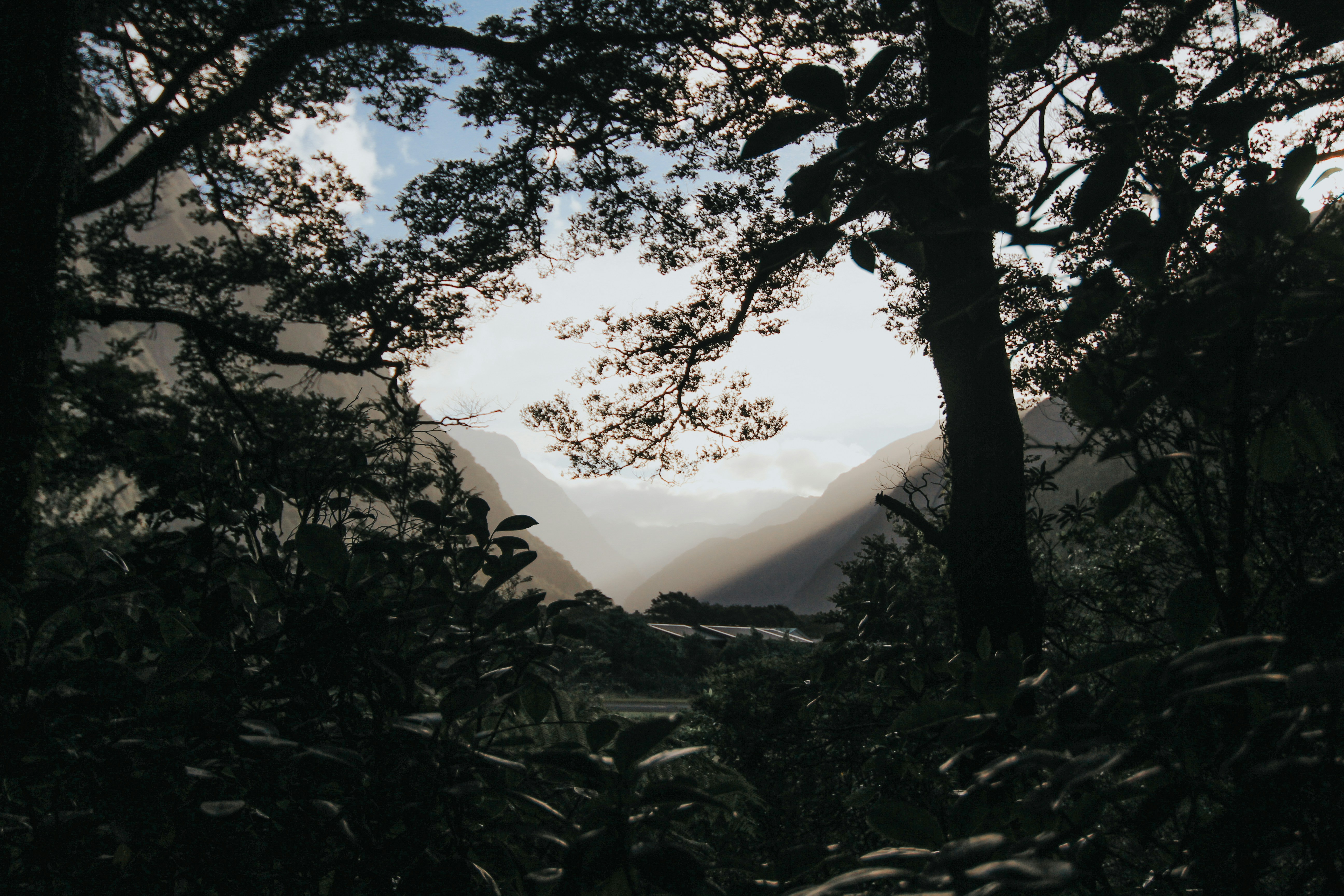 Photo by matthewryanstephenson