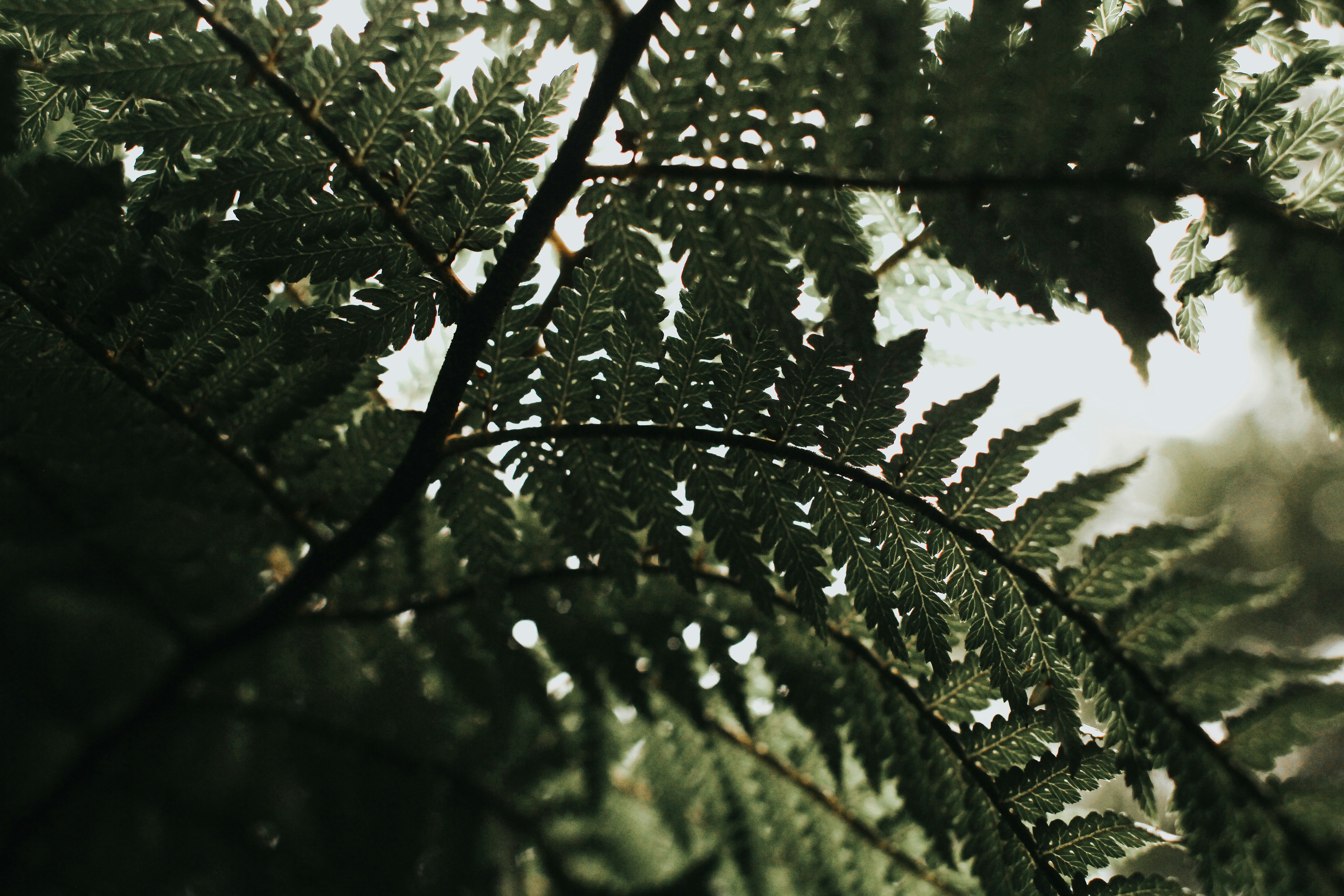 Photo by matthewryanstephenson