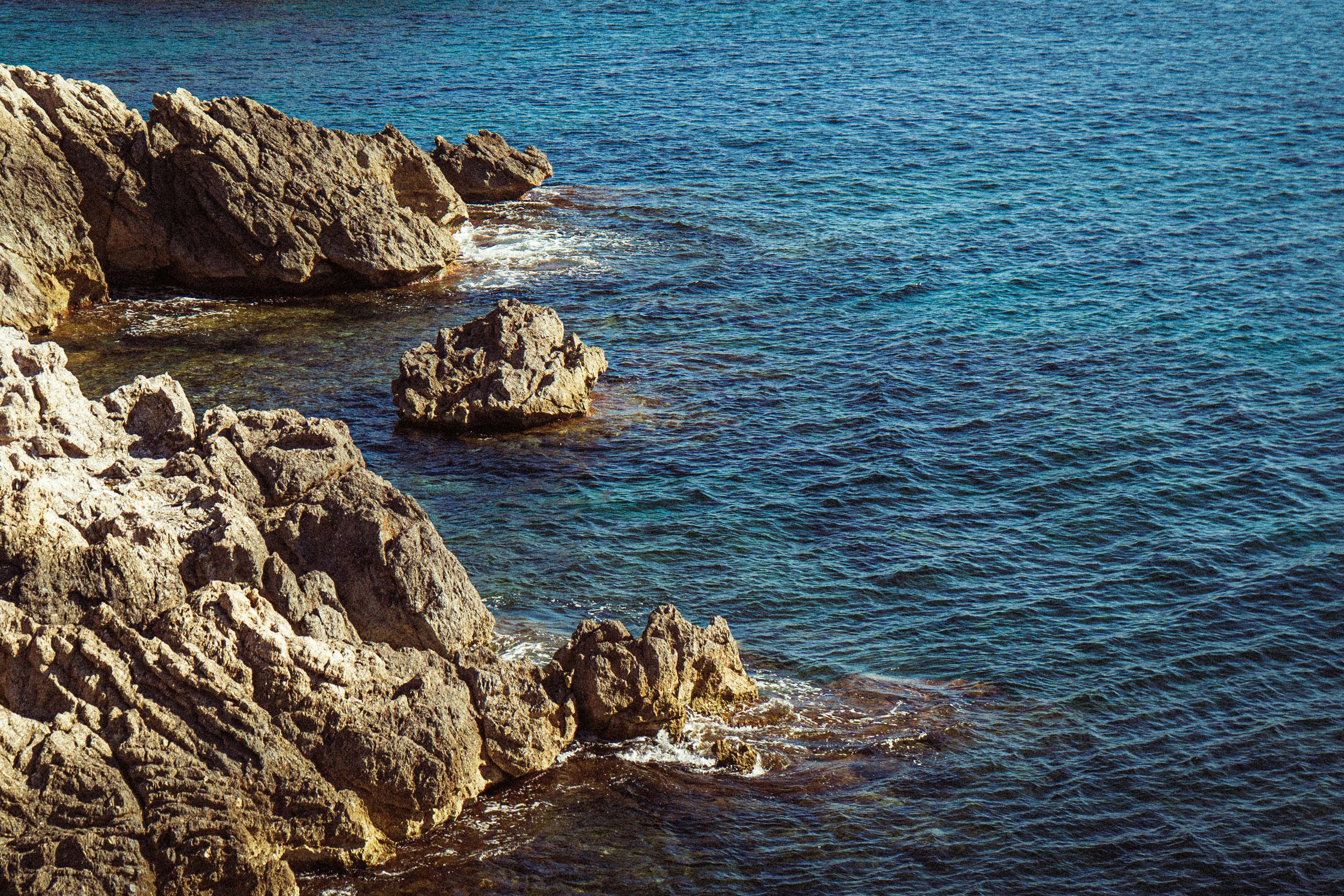 Photo by thepollenpolin