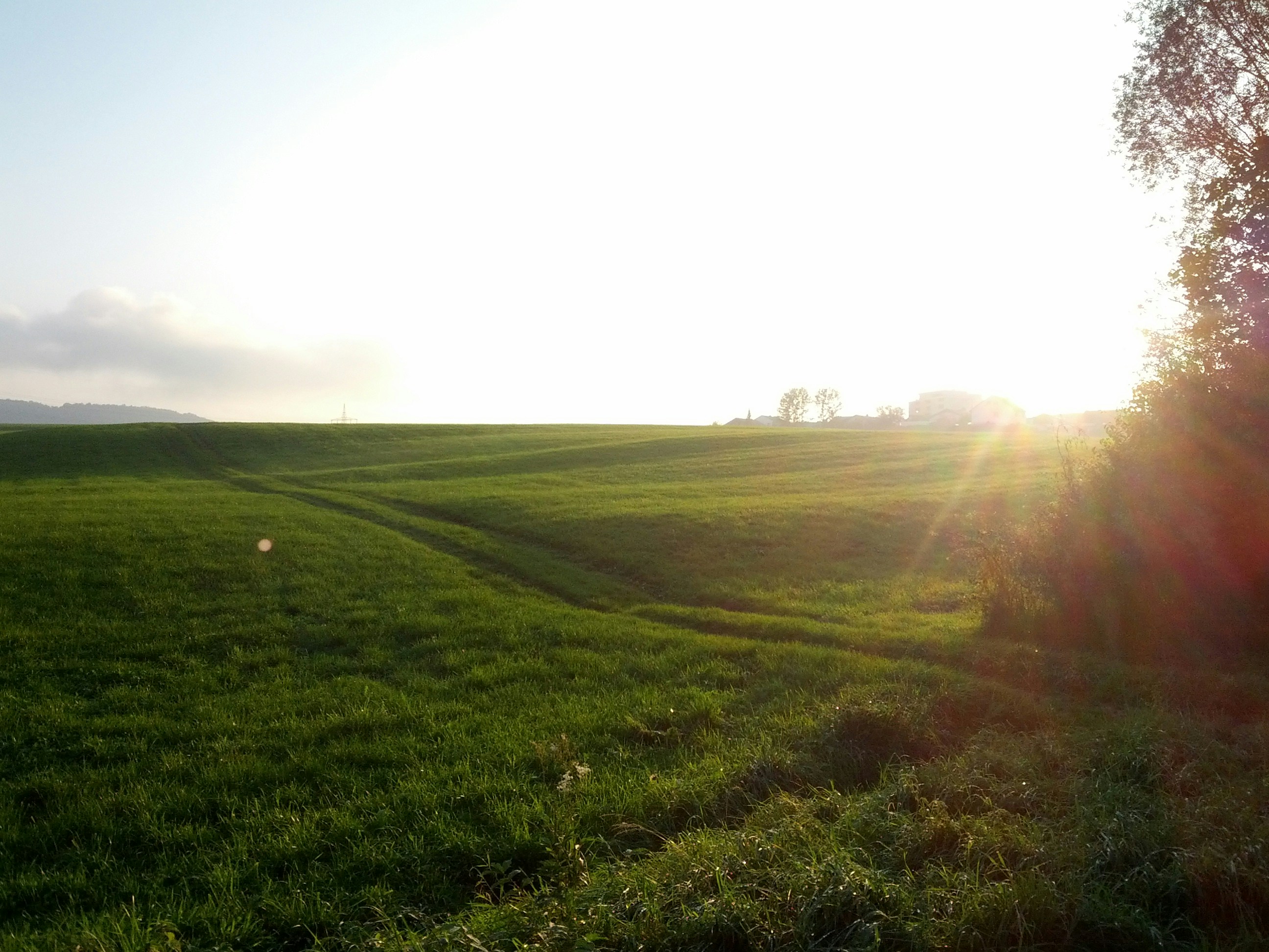 Photo by randominfinity