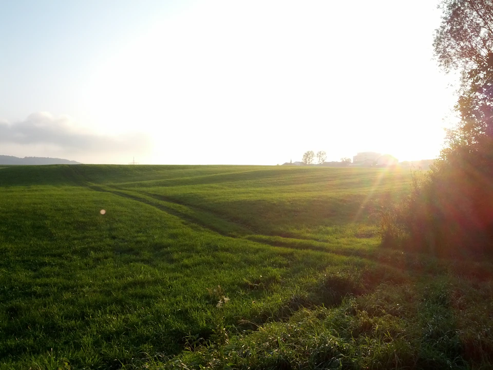 Serene rural landscape with vast green field under sunset's warm golden light