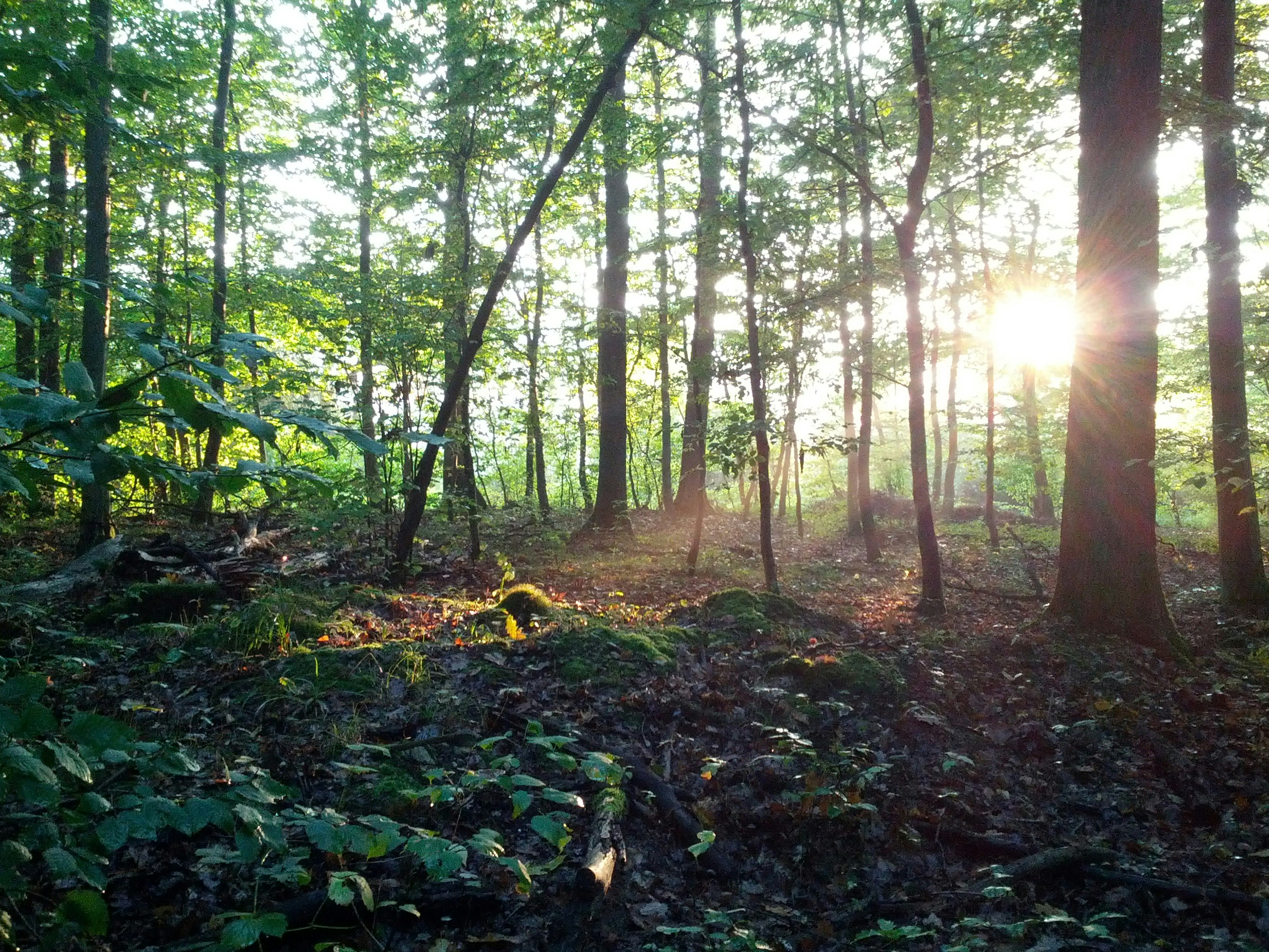 Photo by randominfinity