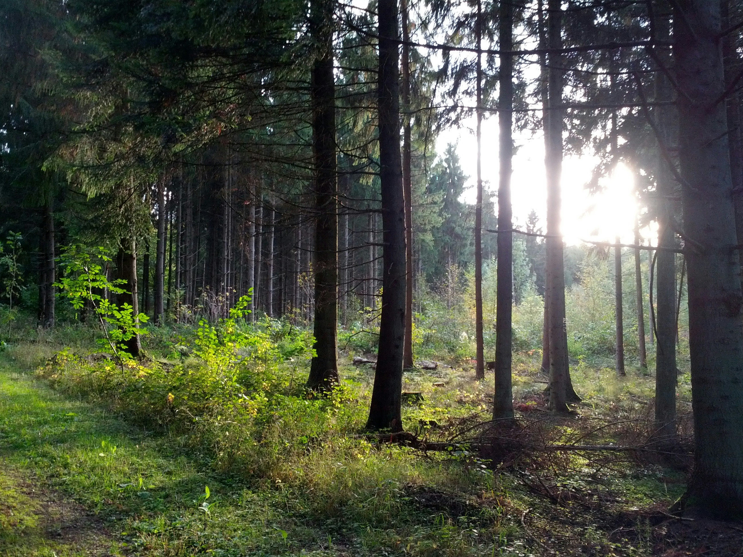 Photo by randominfinity