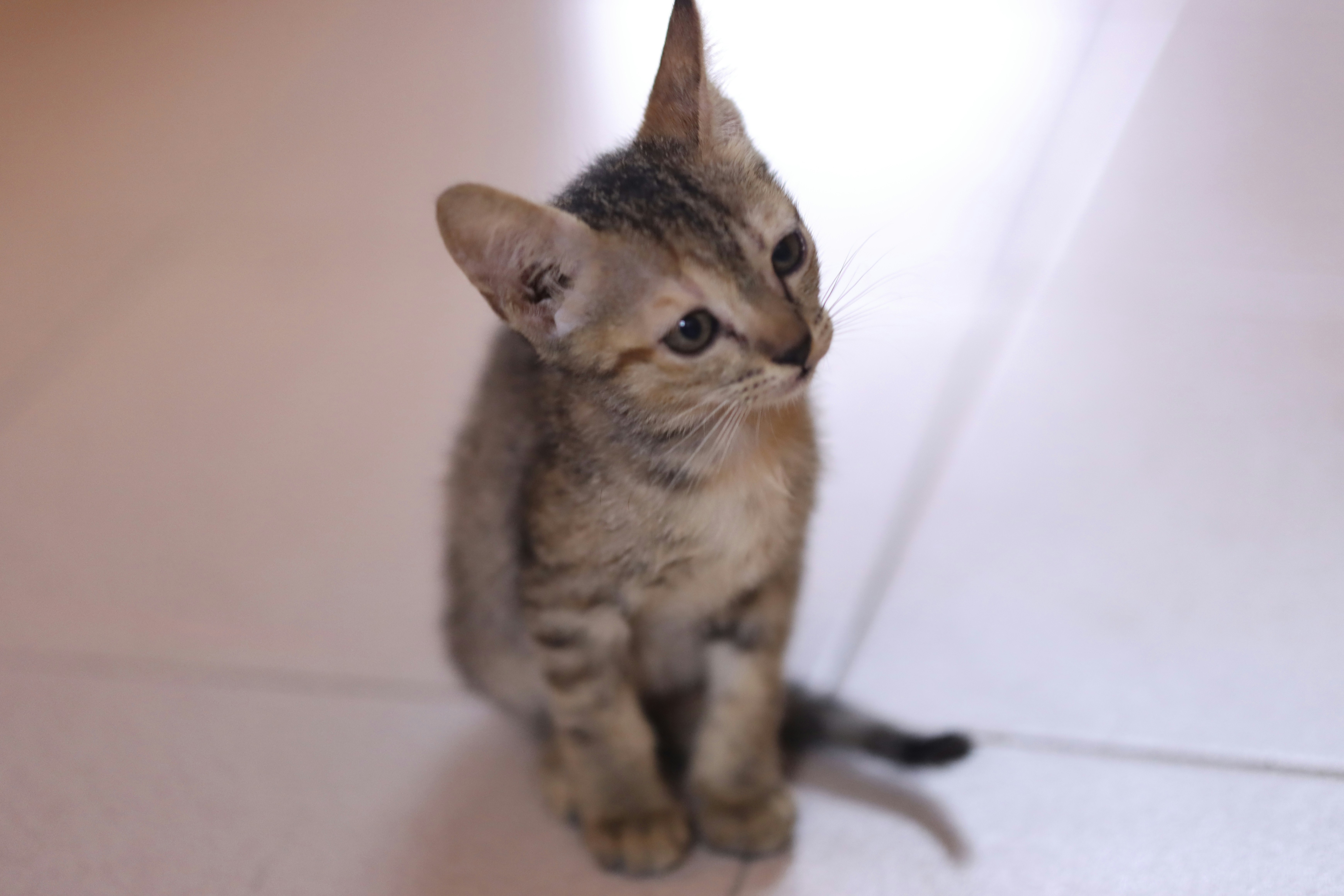 Photo by not_a_legend