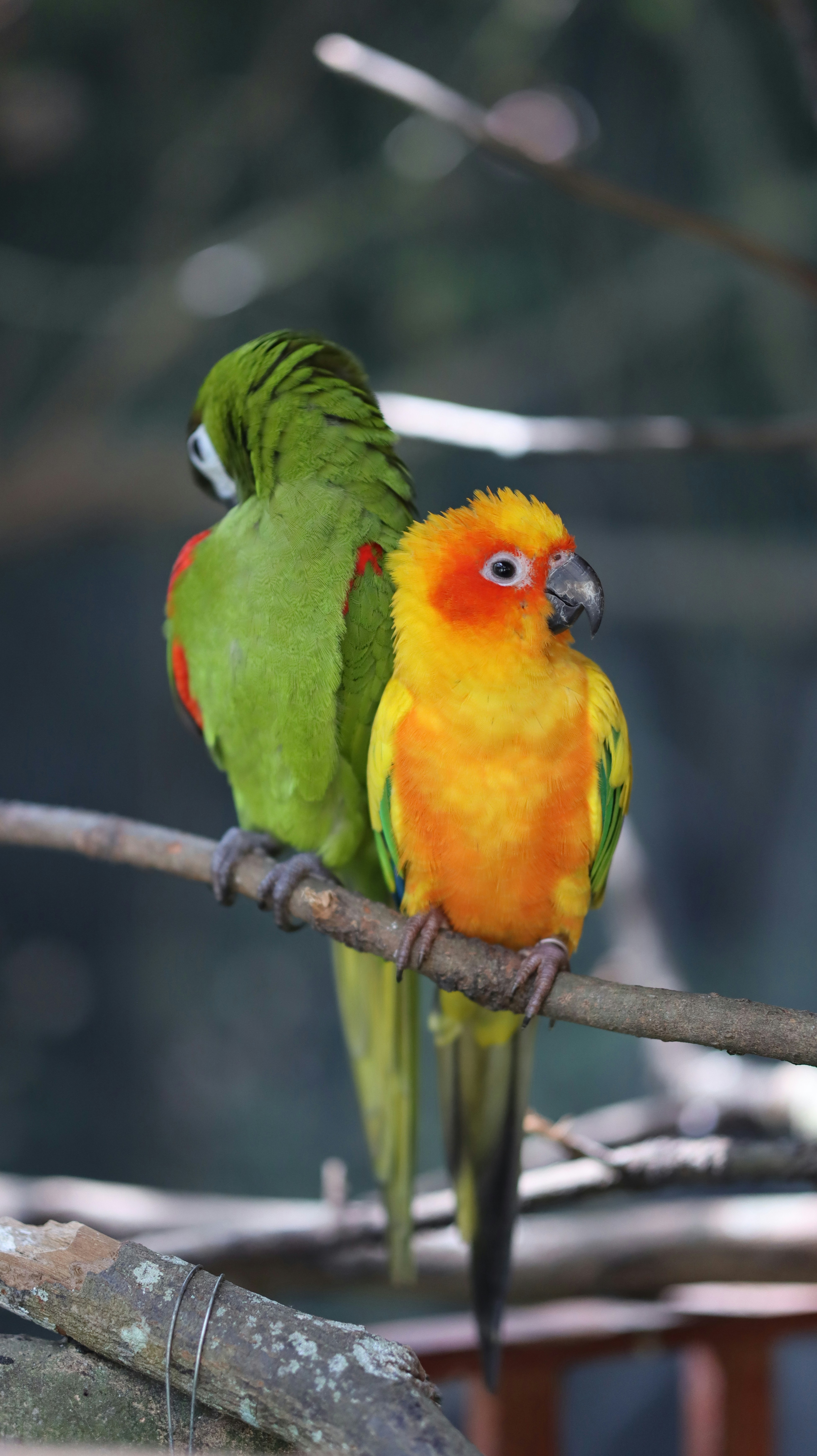 Photo by not_a_legend