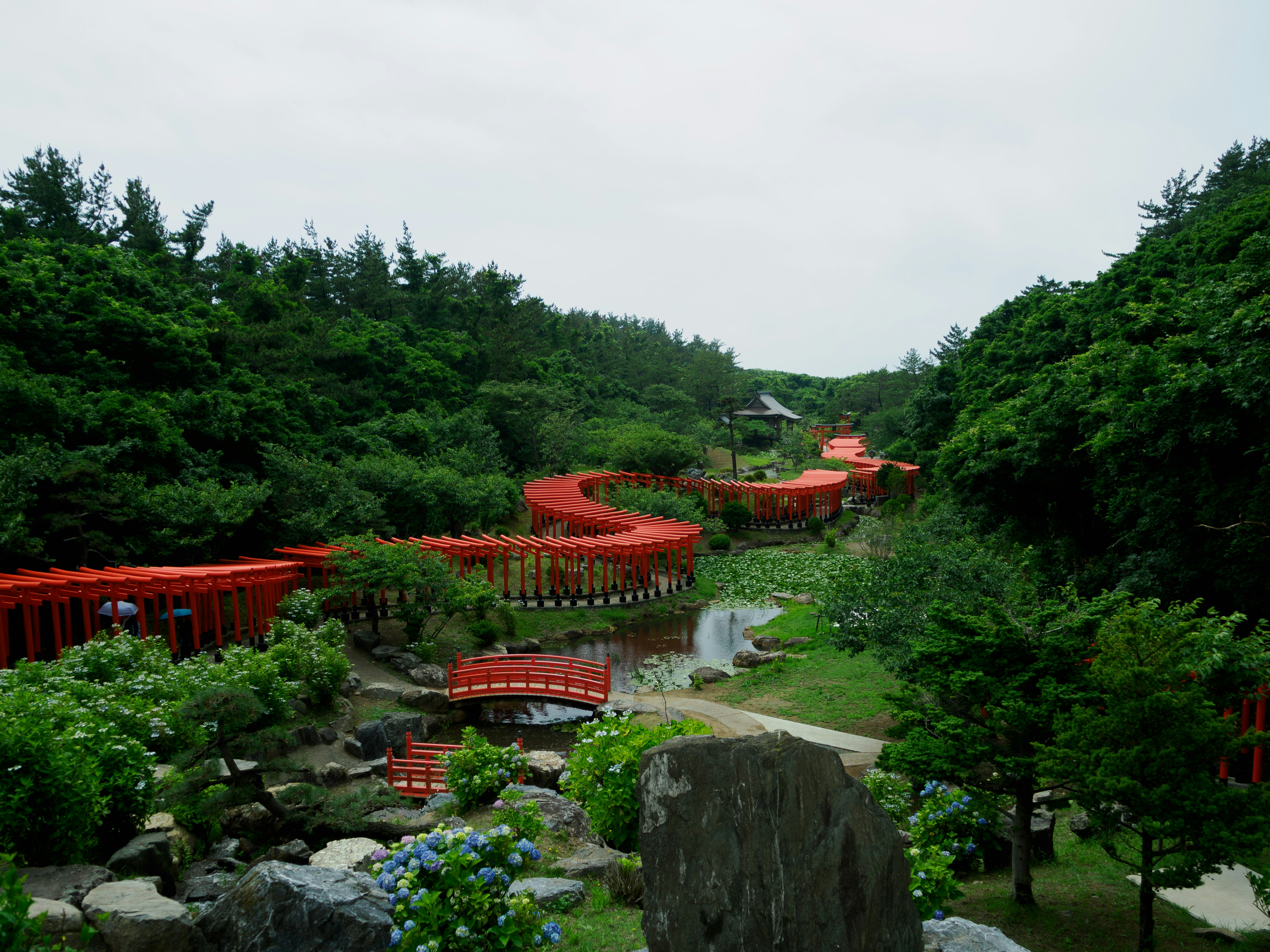 Red torii gates line a lush, green path.