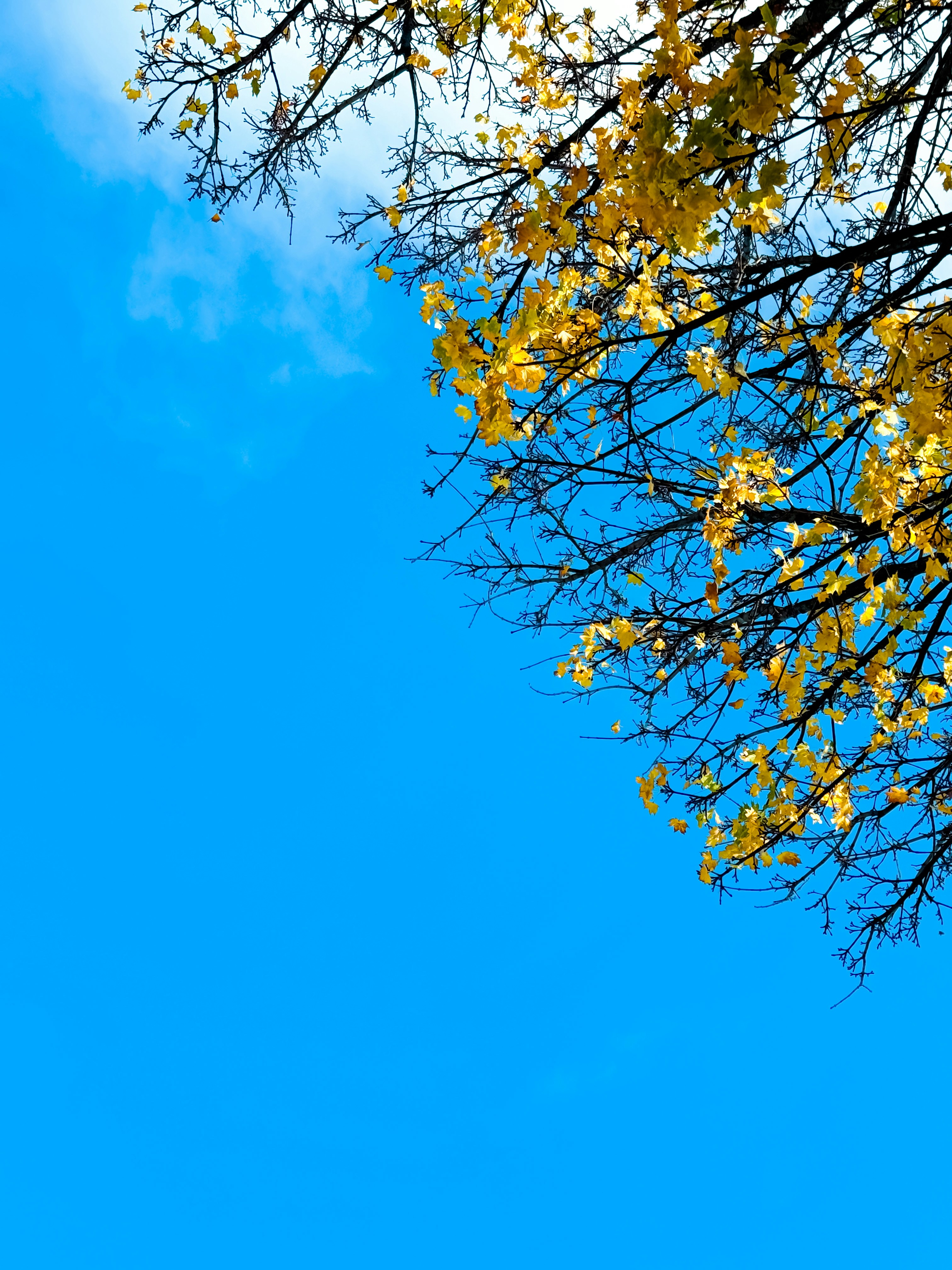 Photo by jesvin77777