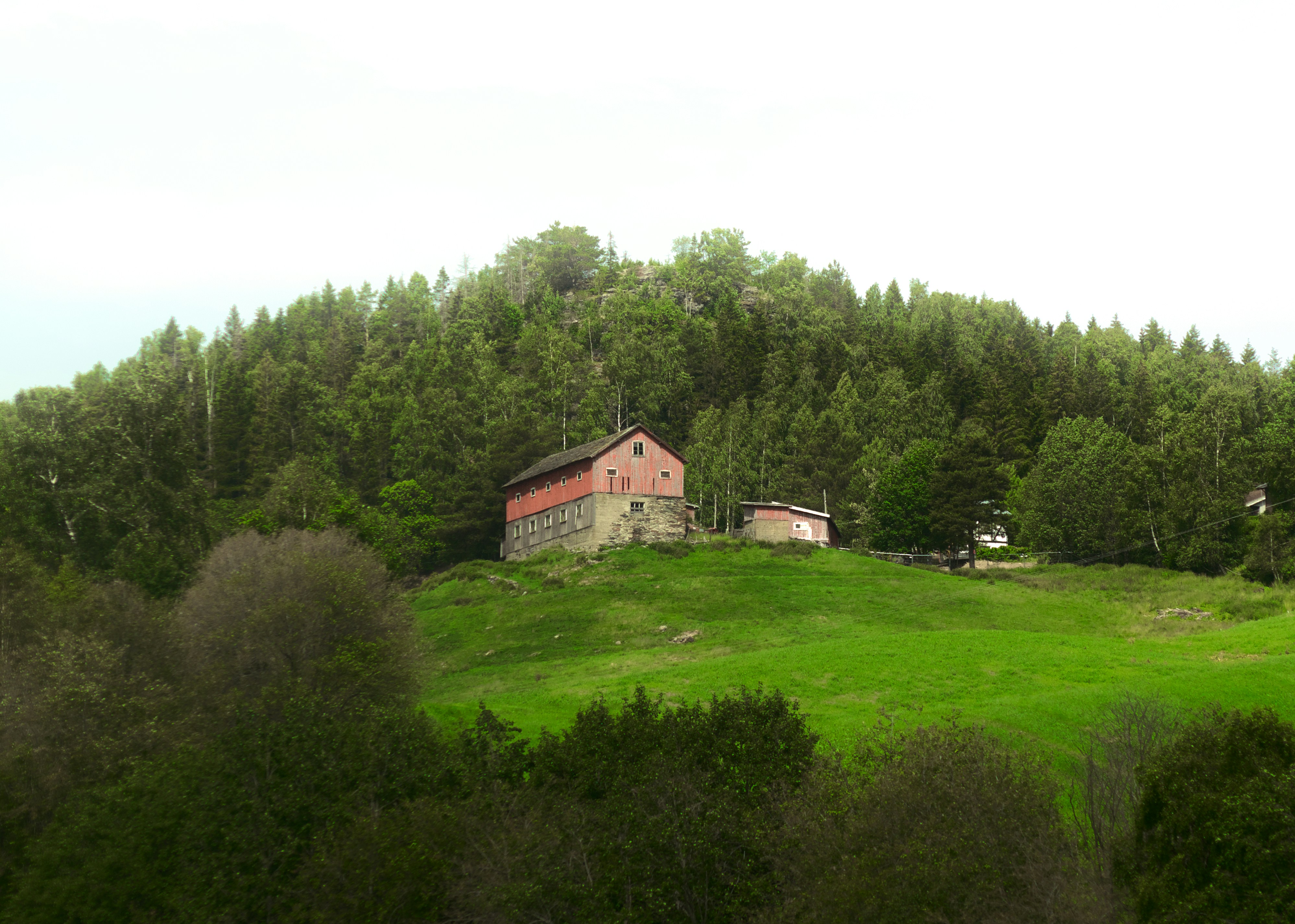 Cover image for Gestión de crisis de reputación en acuicultura de salmón en Chiloé