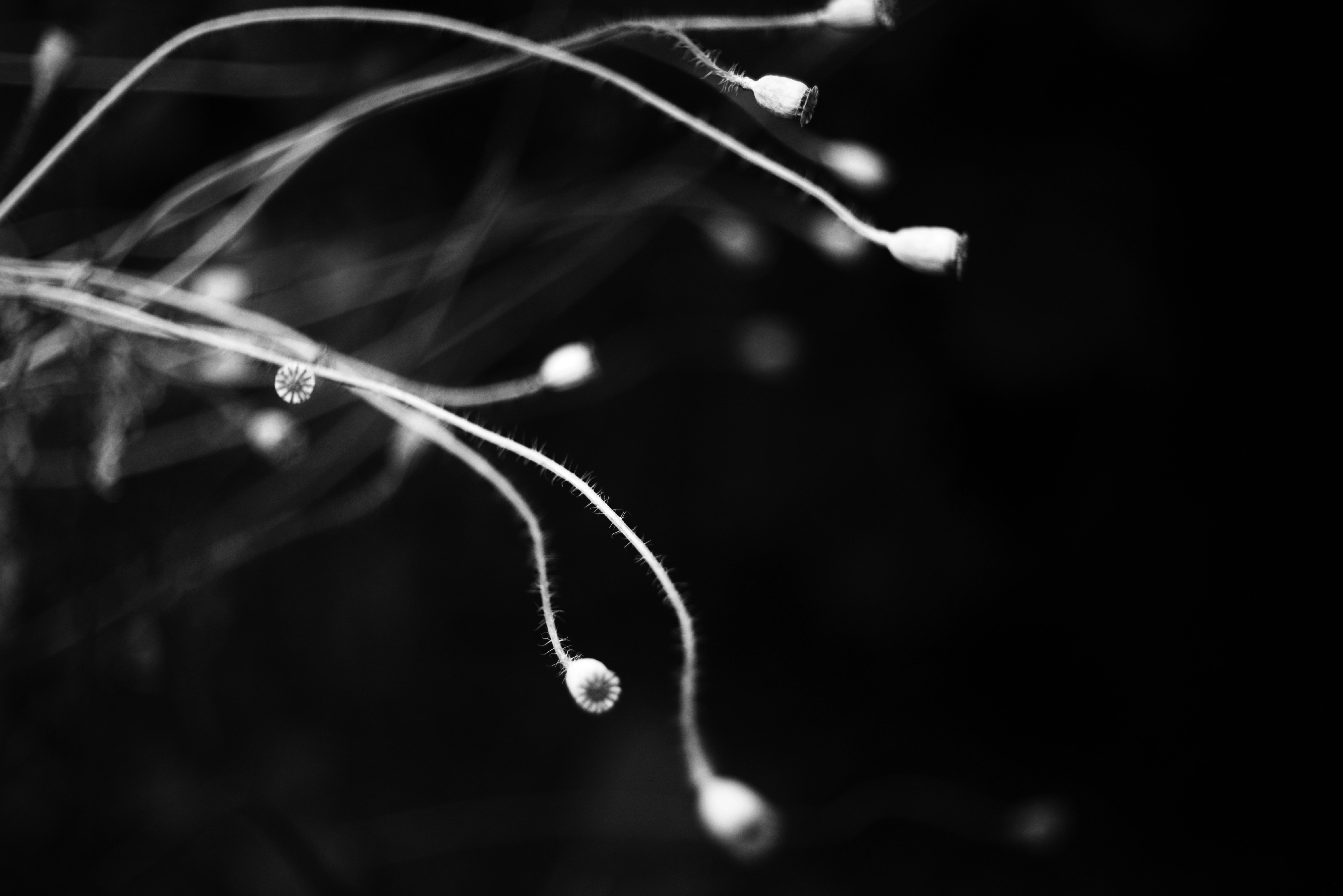 Photo by cherstve_pechivo