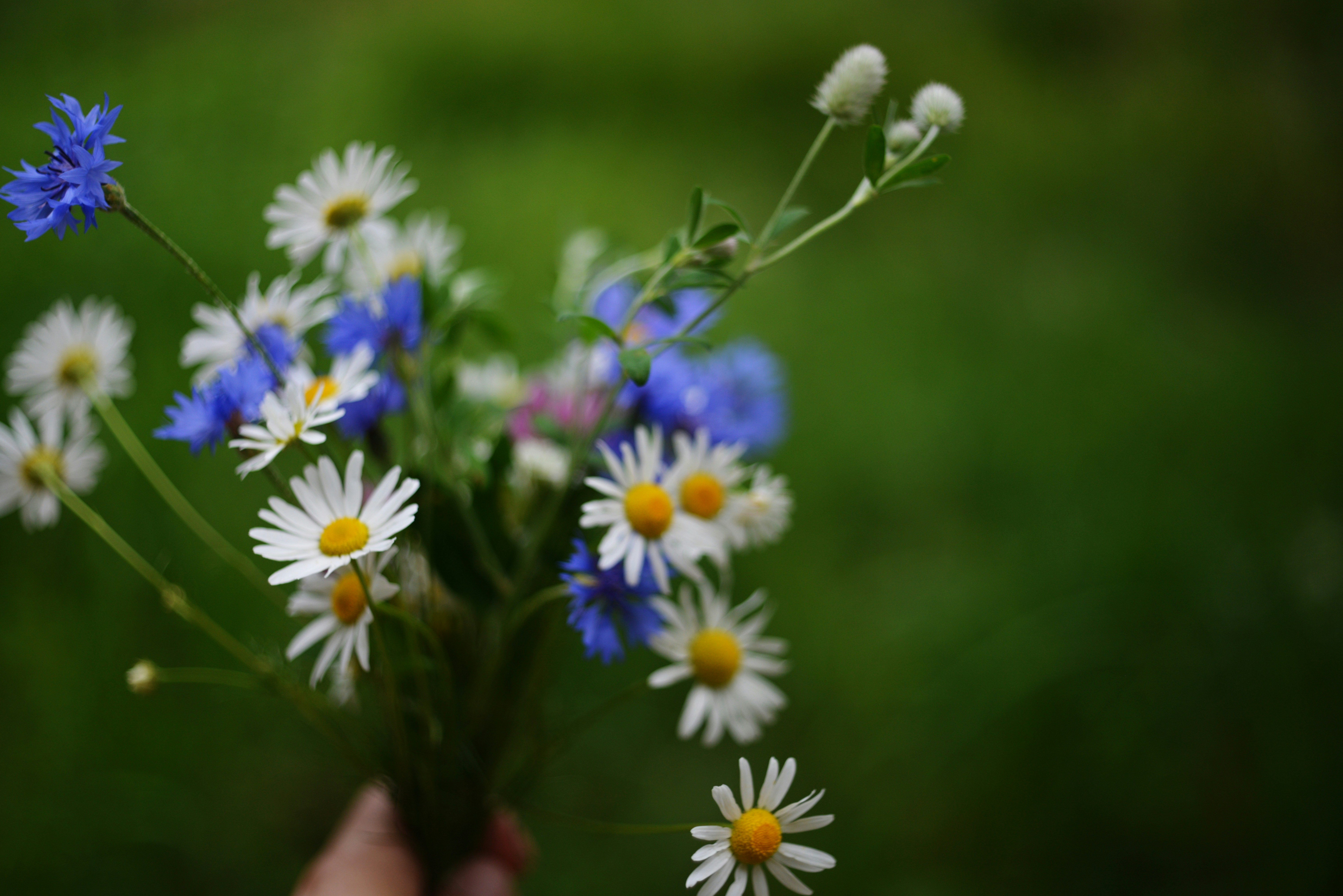 Photo by cherstve_pechivo