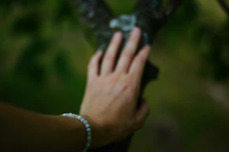 A hand rests gently on a tree trunk.