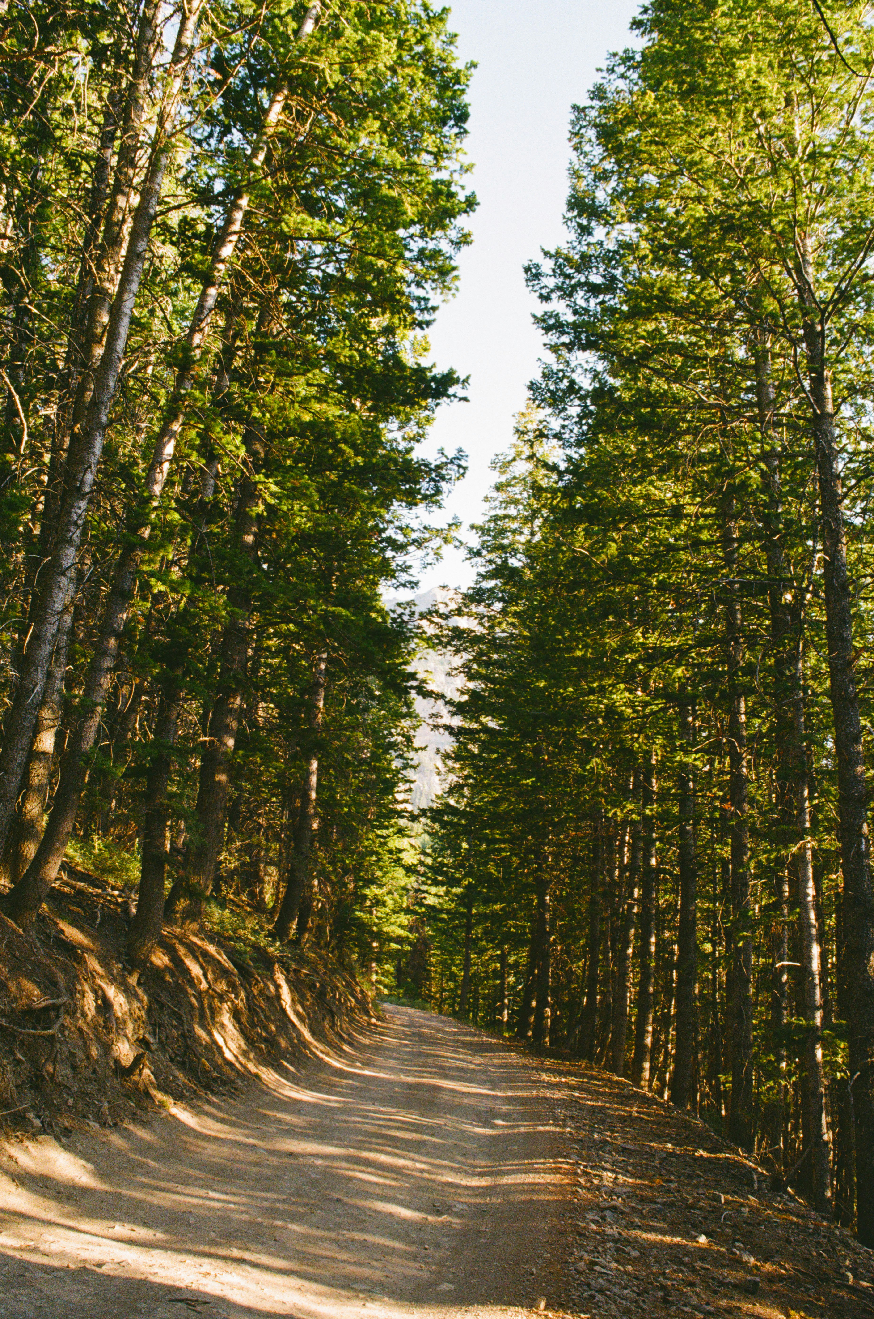 Photo by ukprajapati