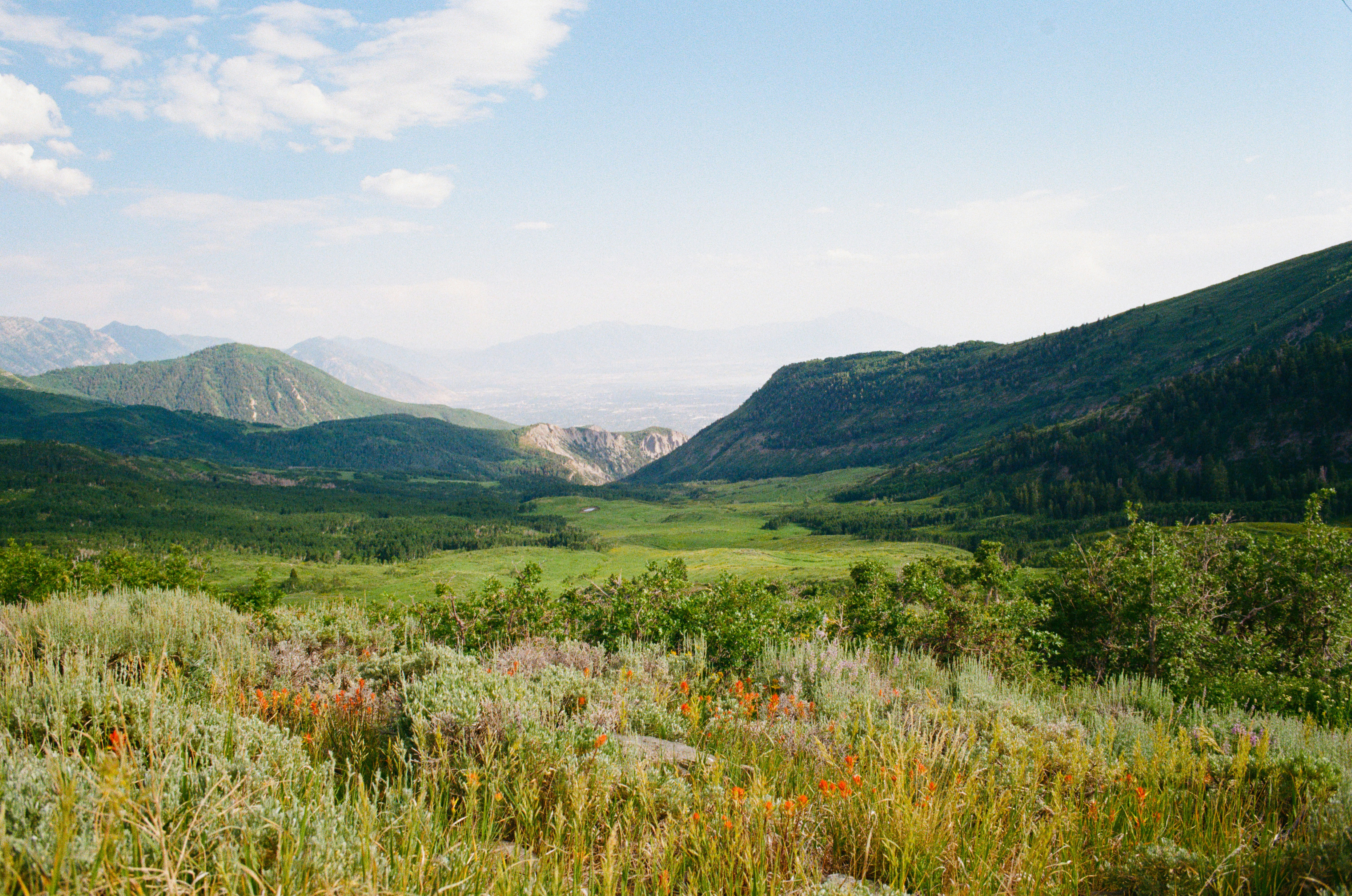 Photo by ukprajapati