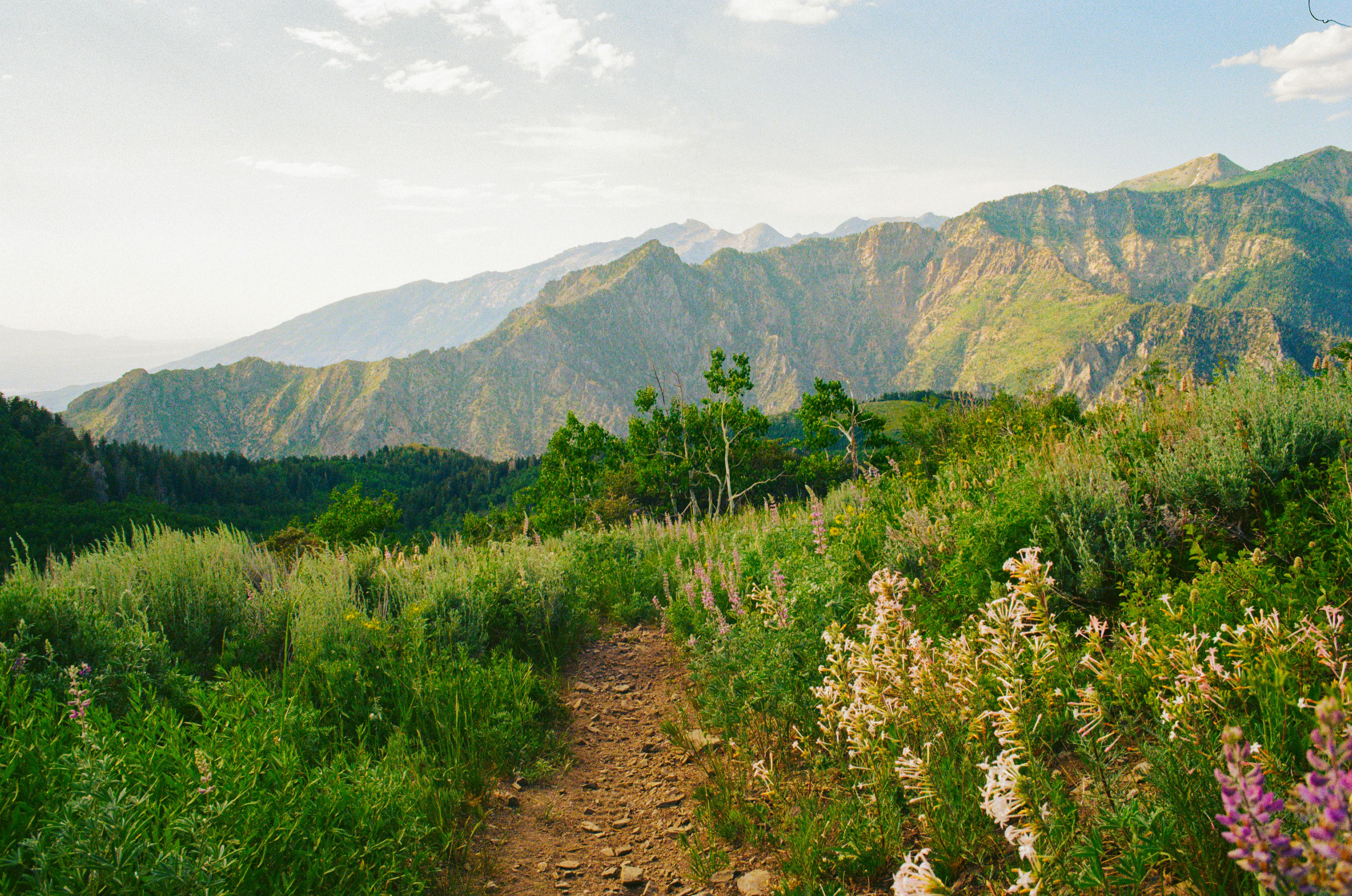 Photo by ukprajapati