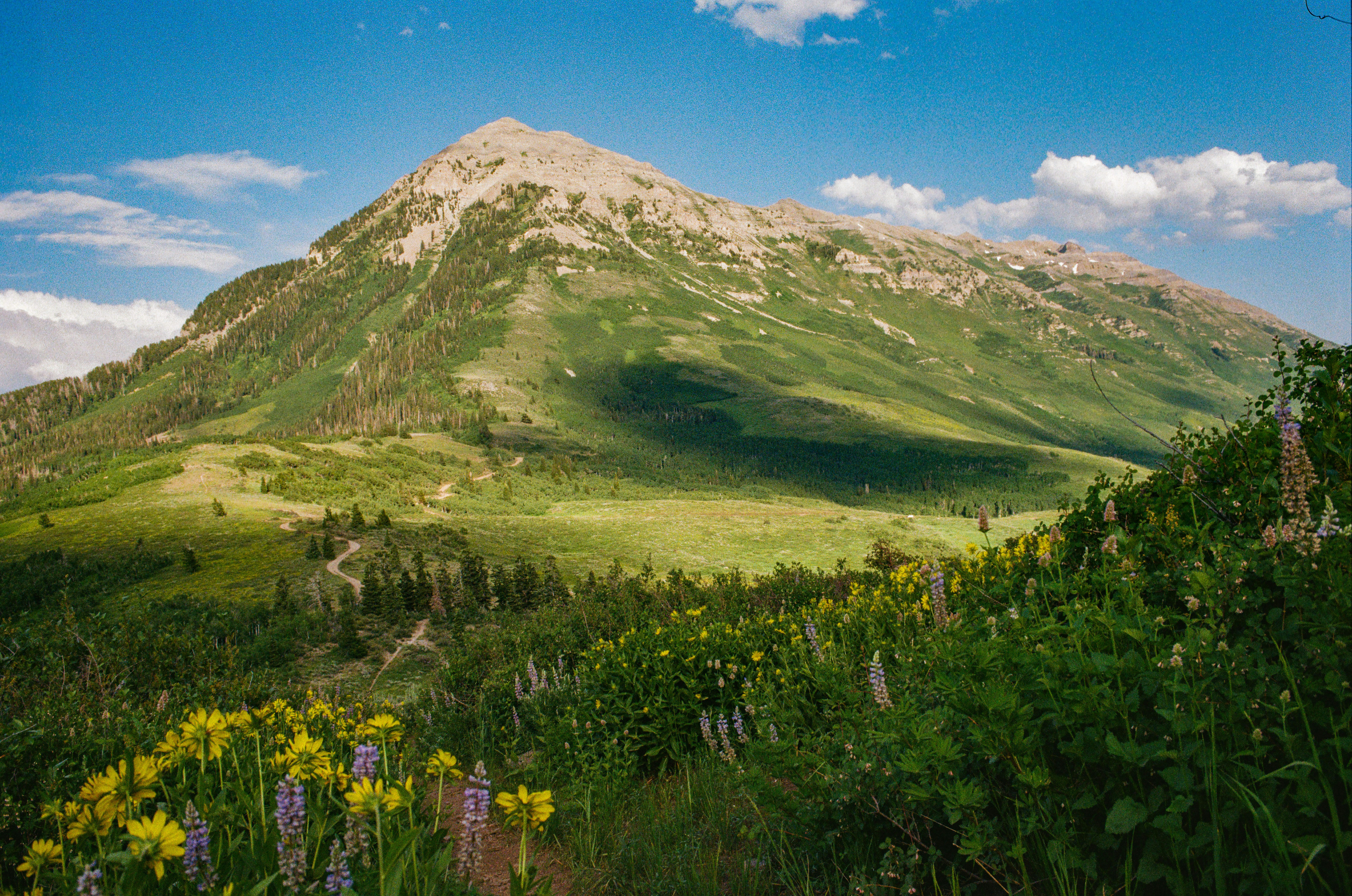 Photo by ukprajapati