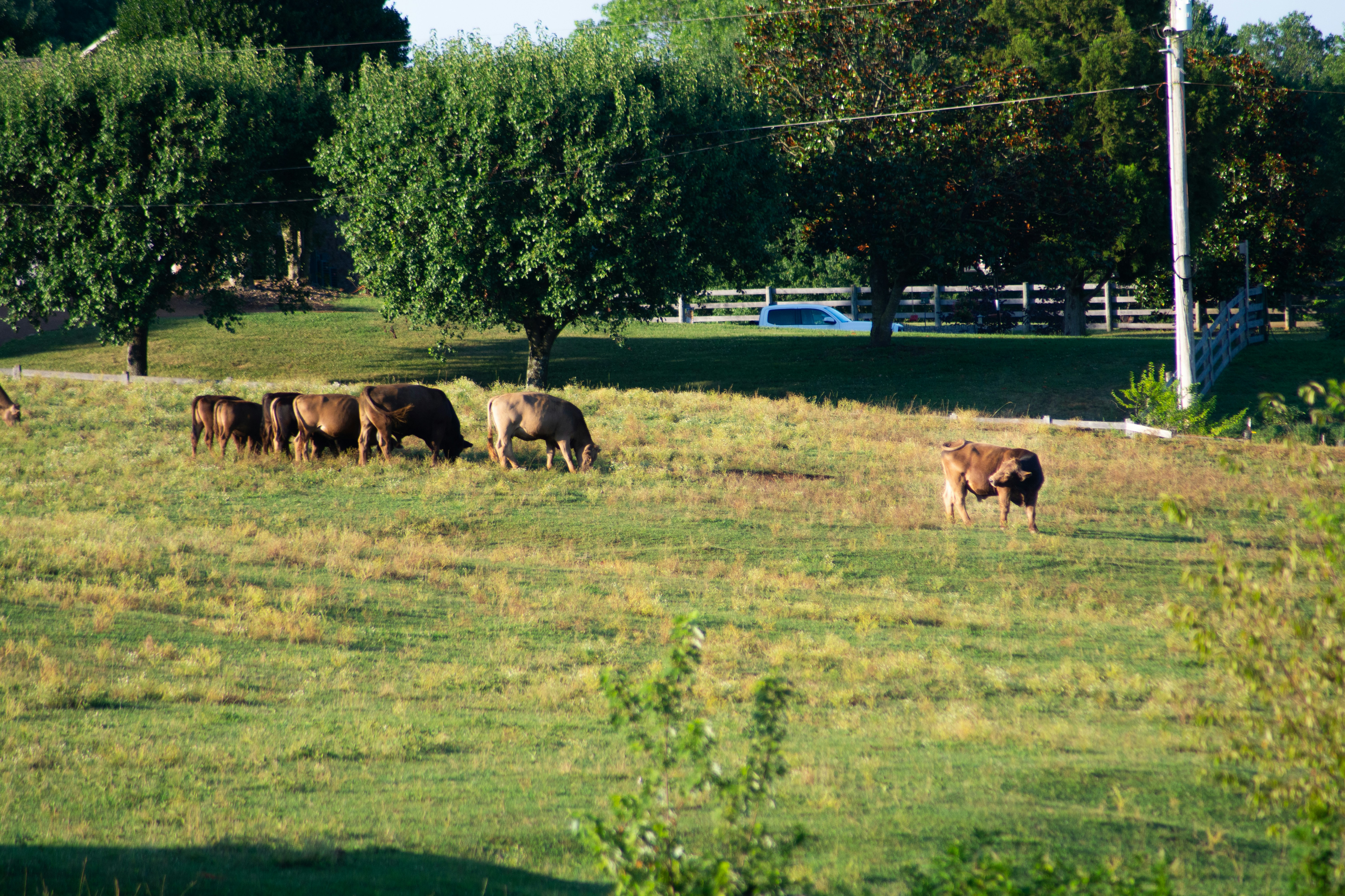 Photo by jplphotography