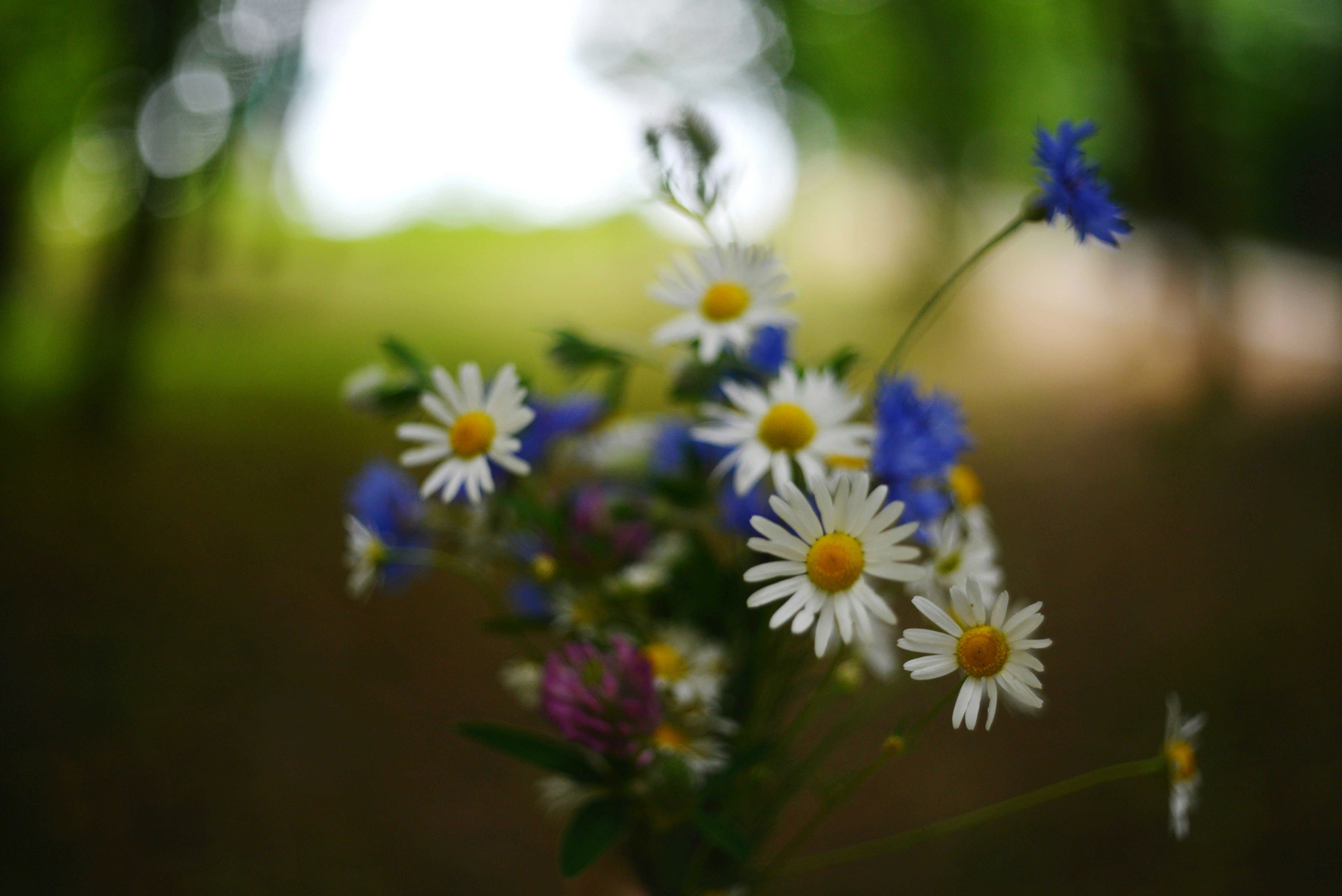 Photo by cherstve_pechivo