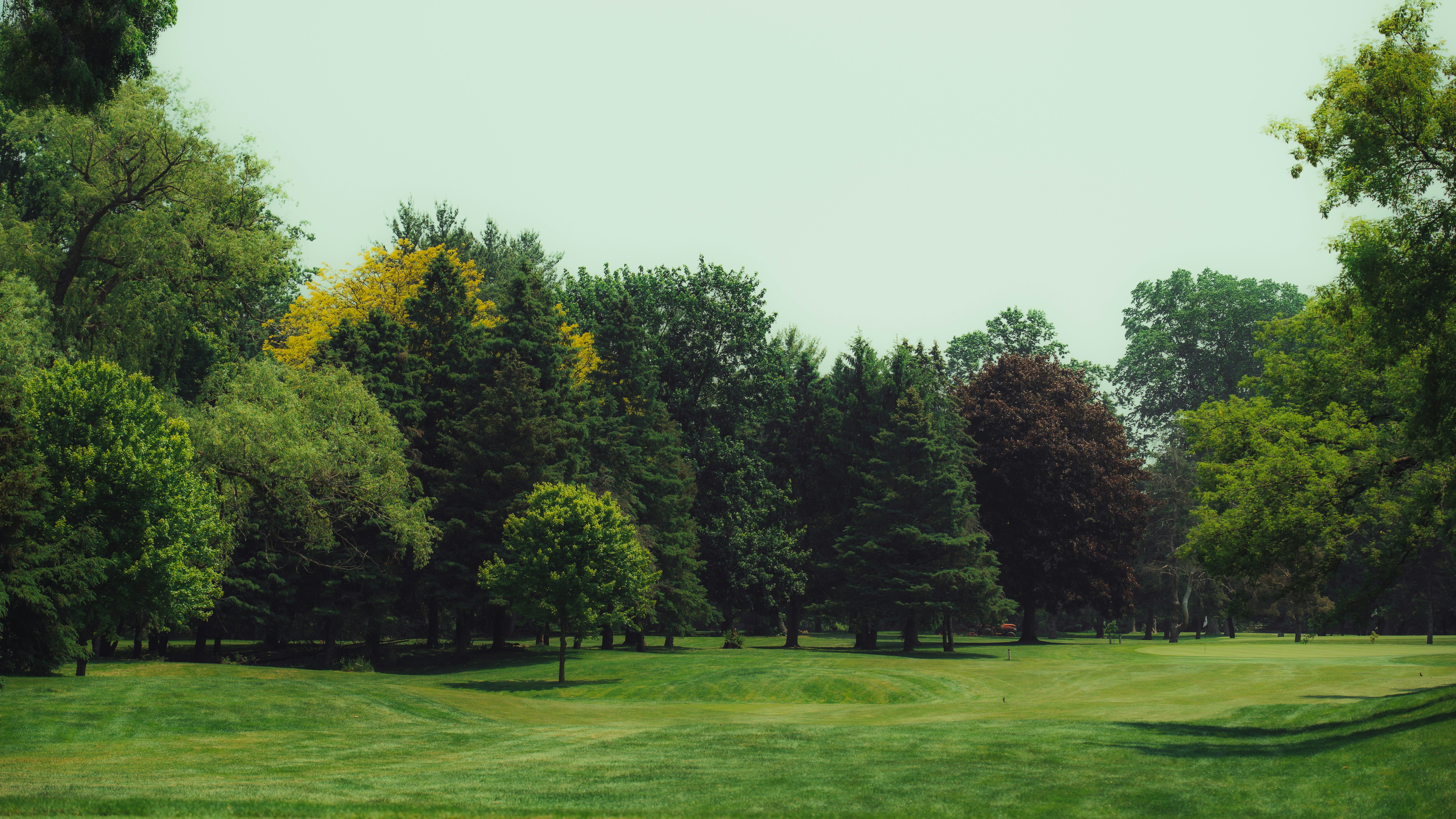 Photo by matthewryanstephenson