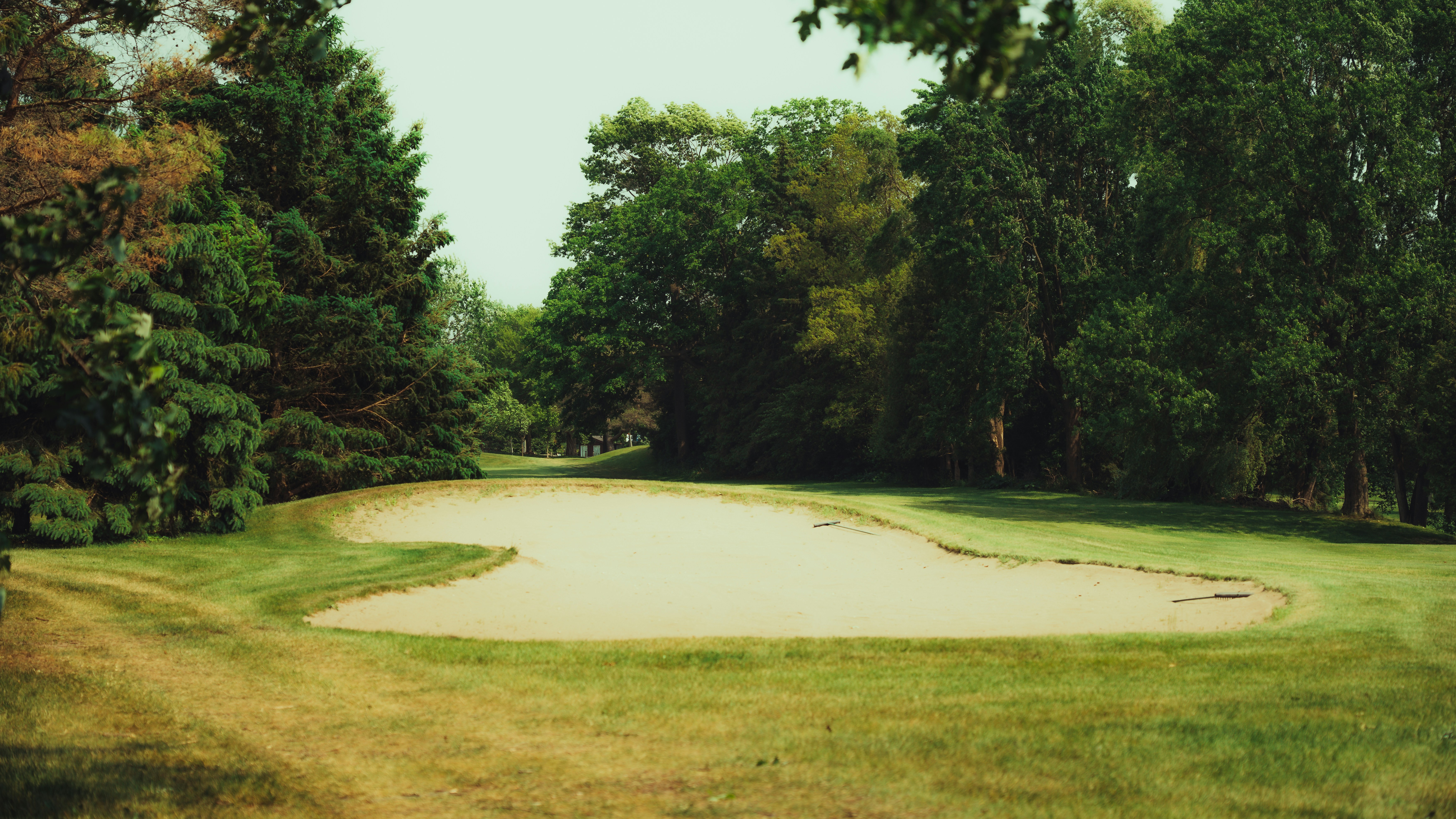 Signature round on a destination golf trip near Bandon Dunes