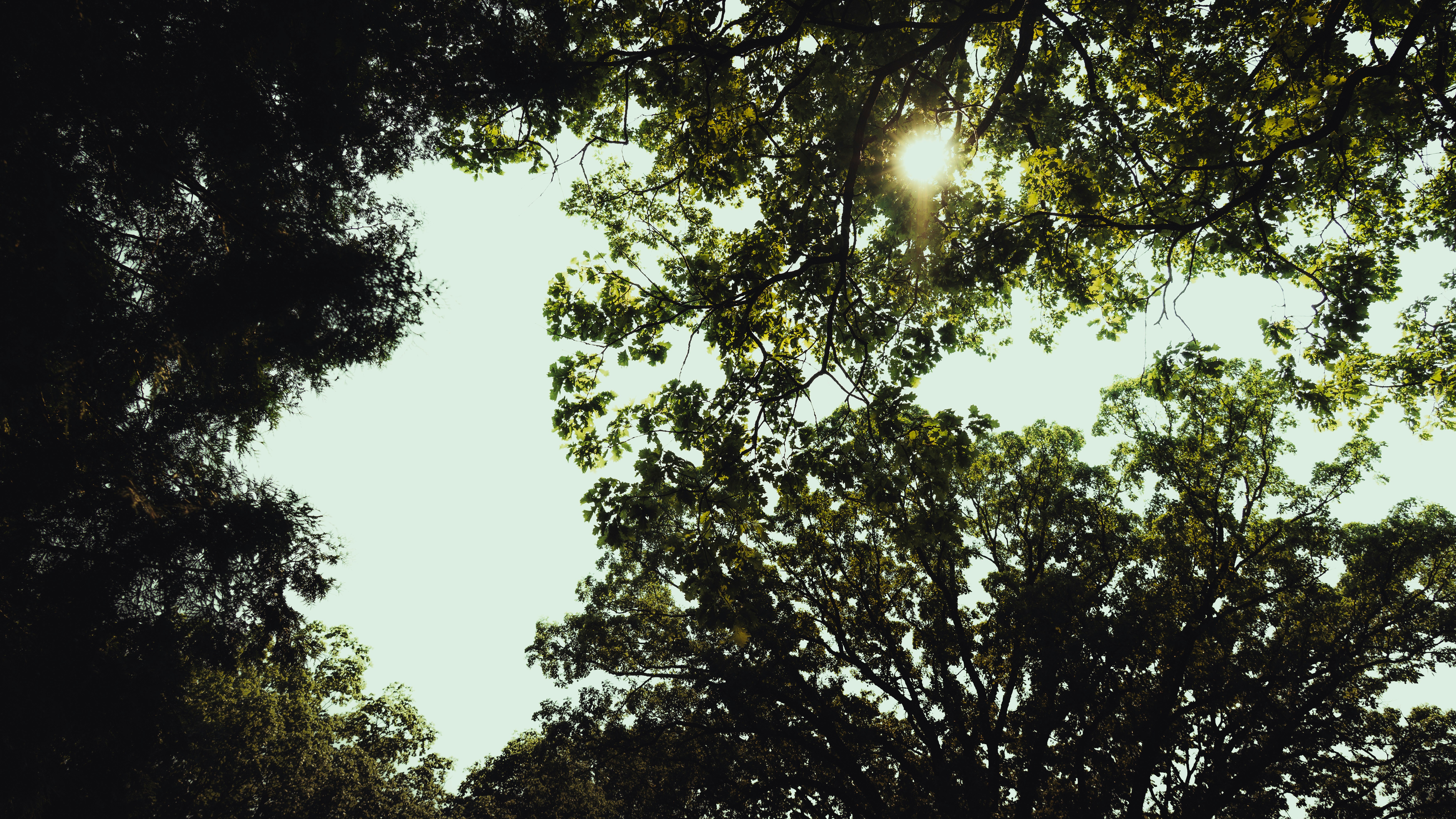 Photo by matthewryanstephenson