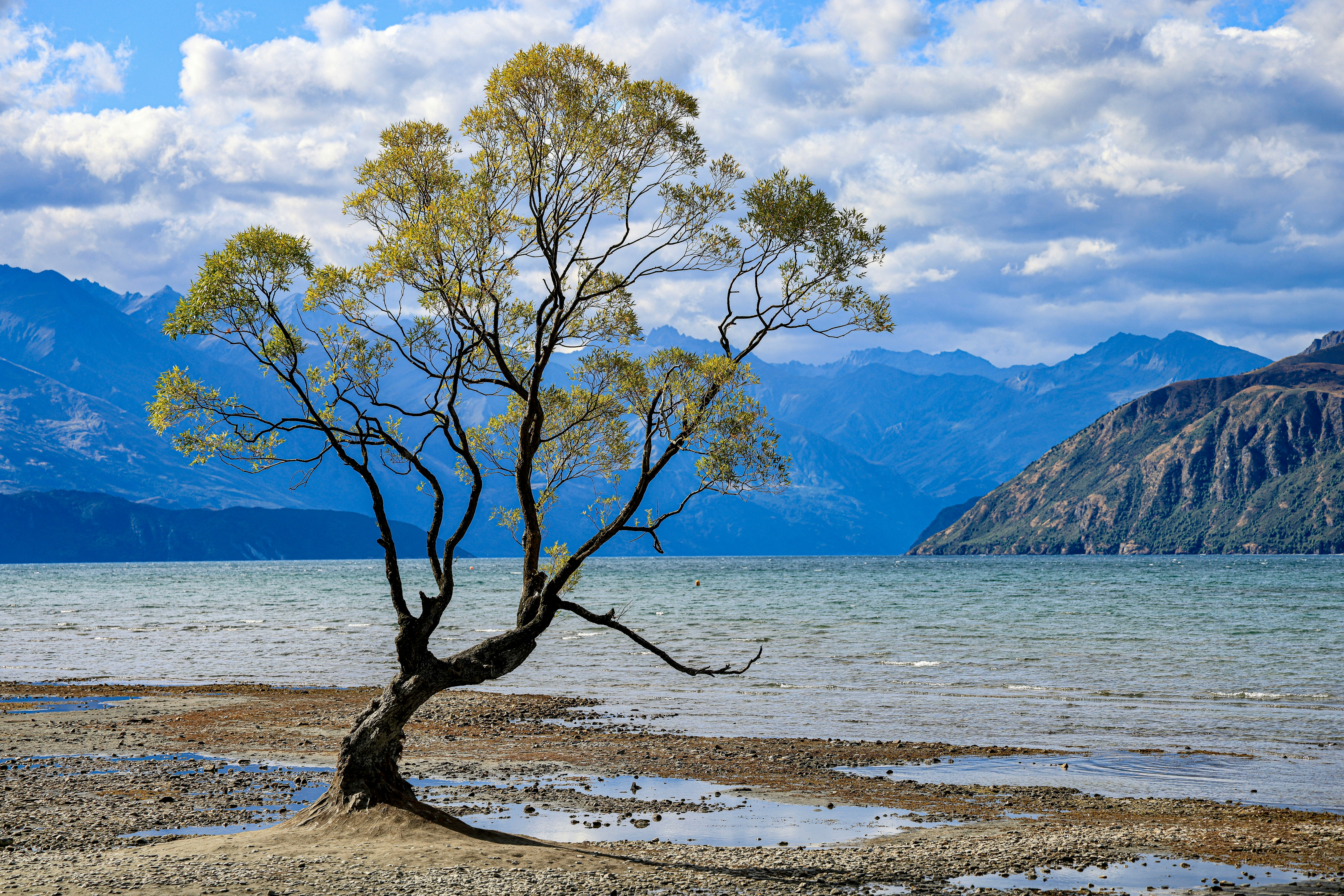 Photo by maximilian_brand