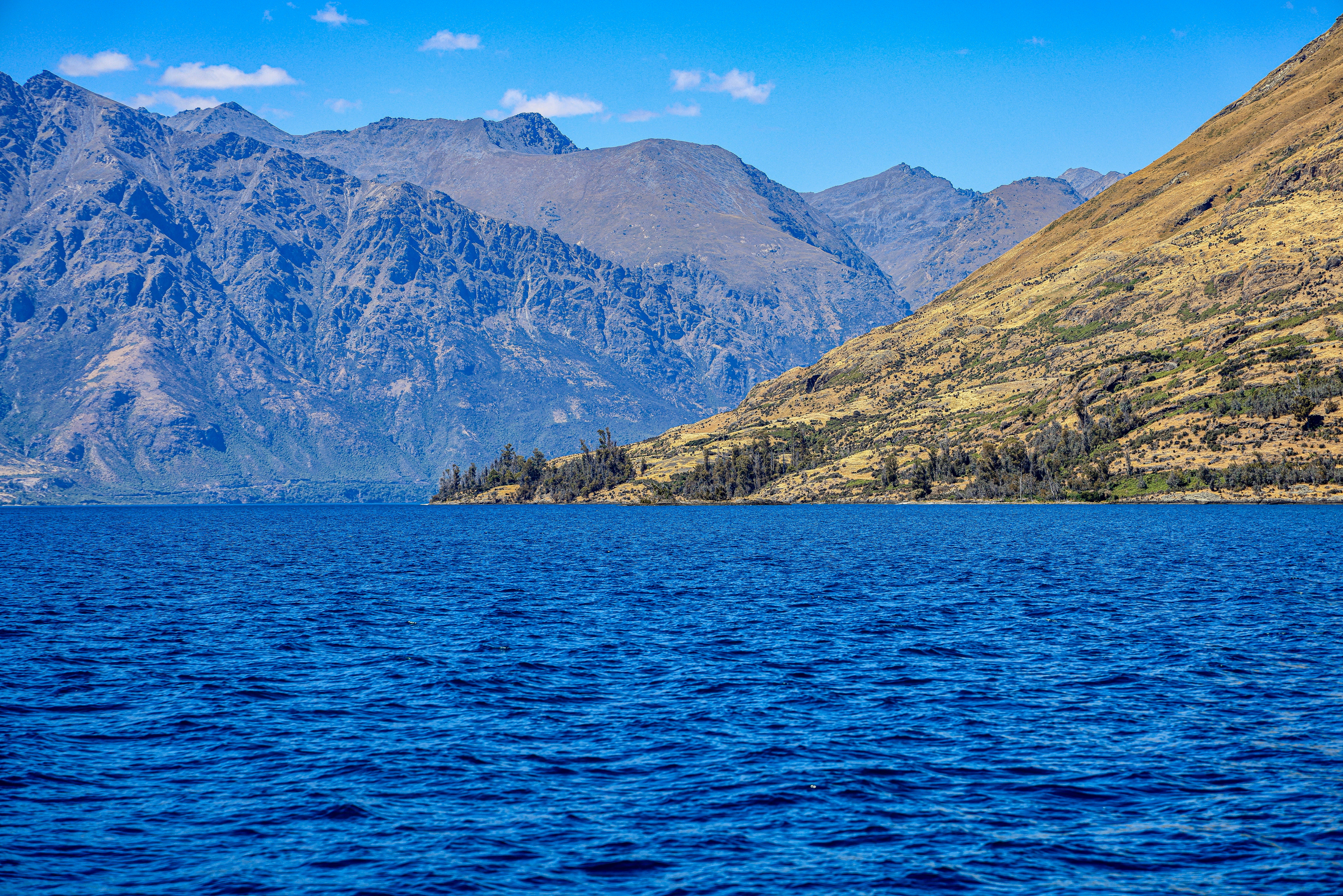 Photo by maximilian_brand