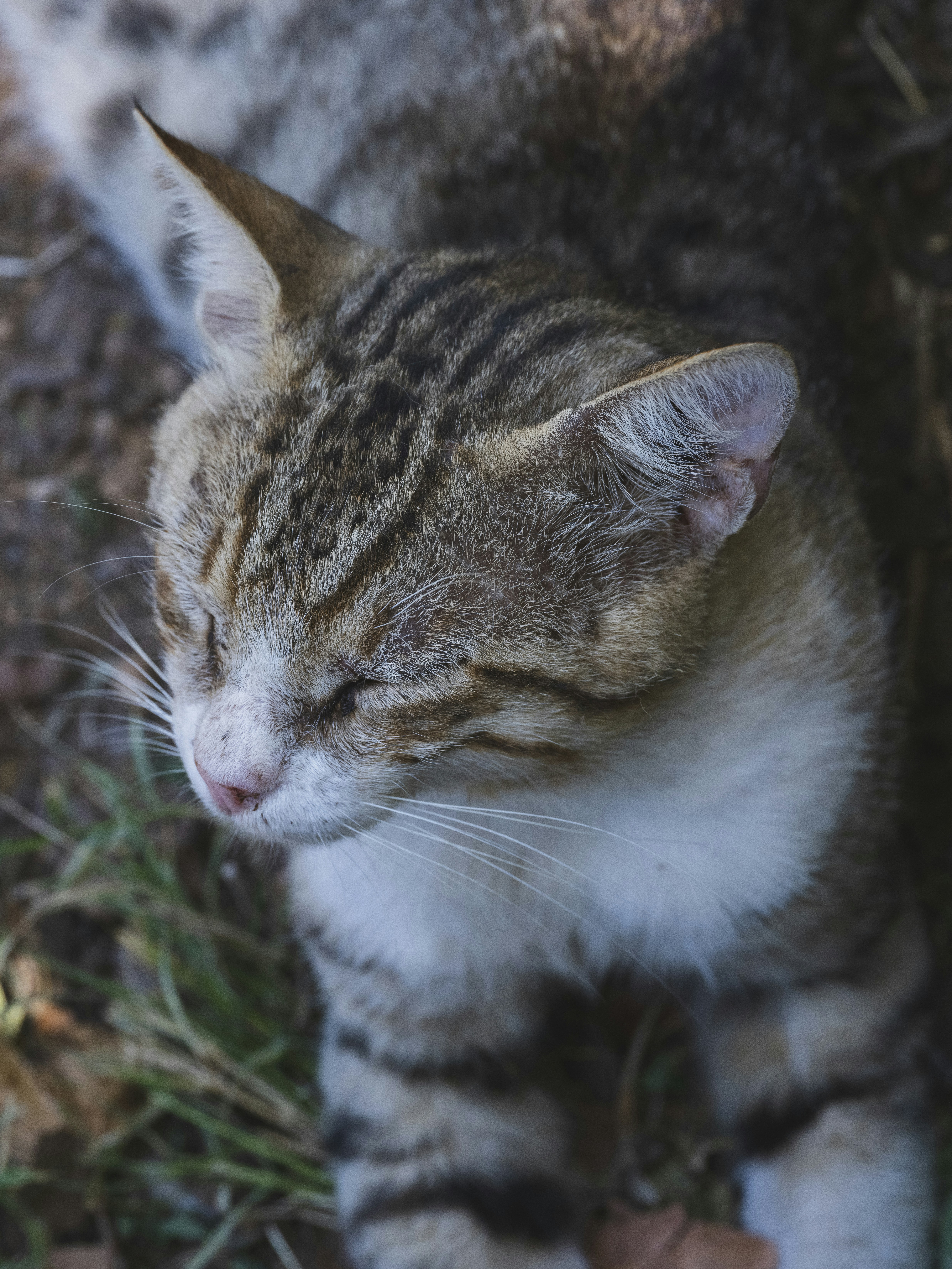 Photo by enginakyurt