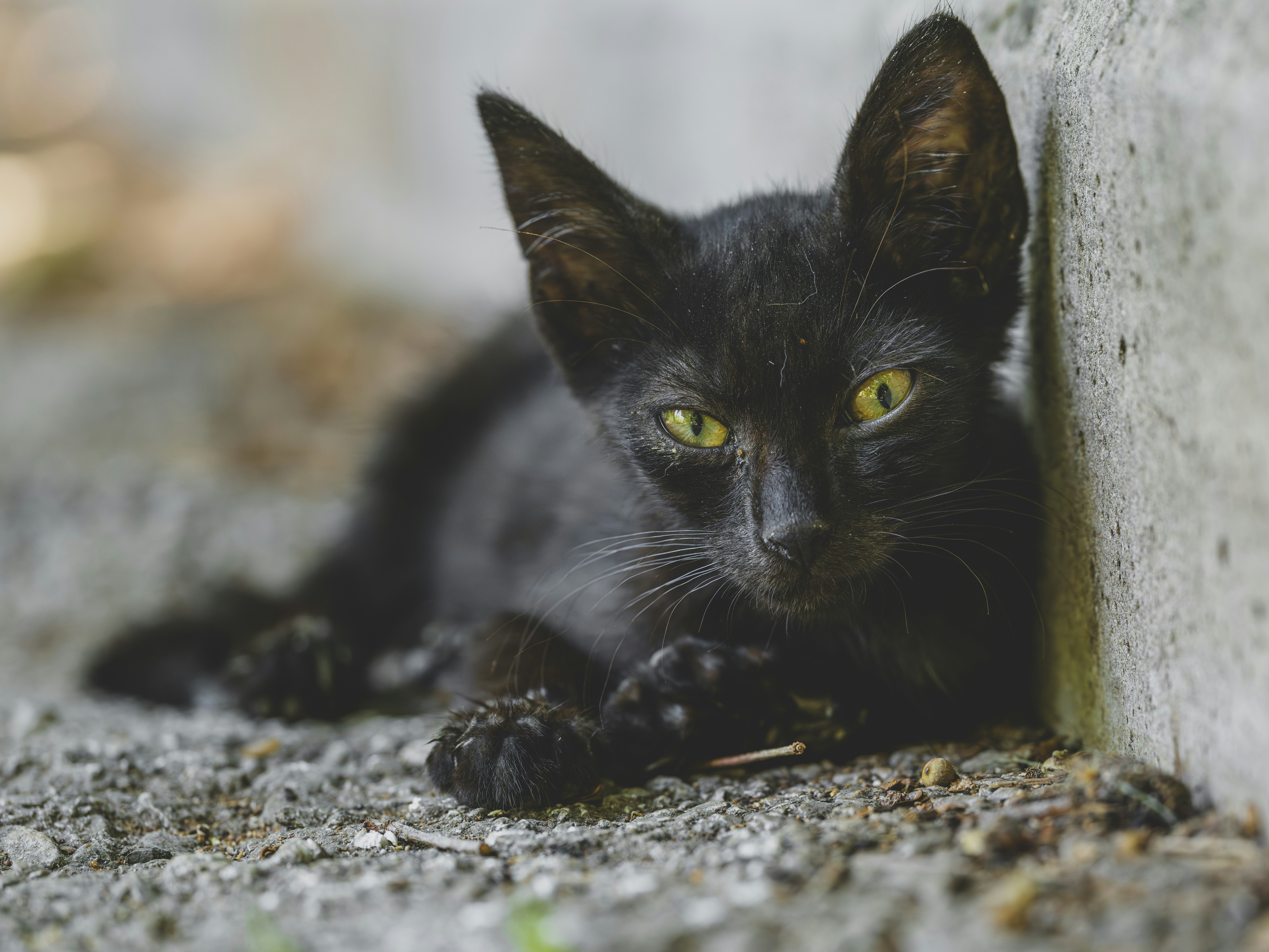 Photo by enginakyurt