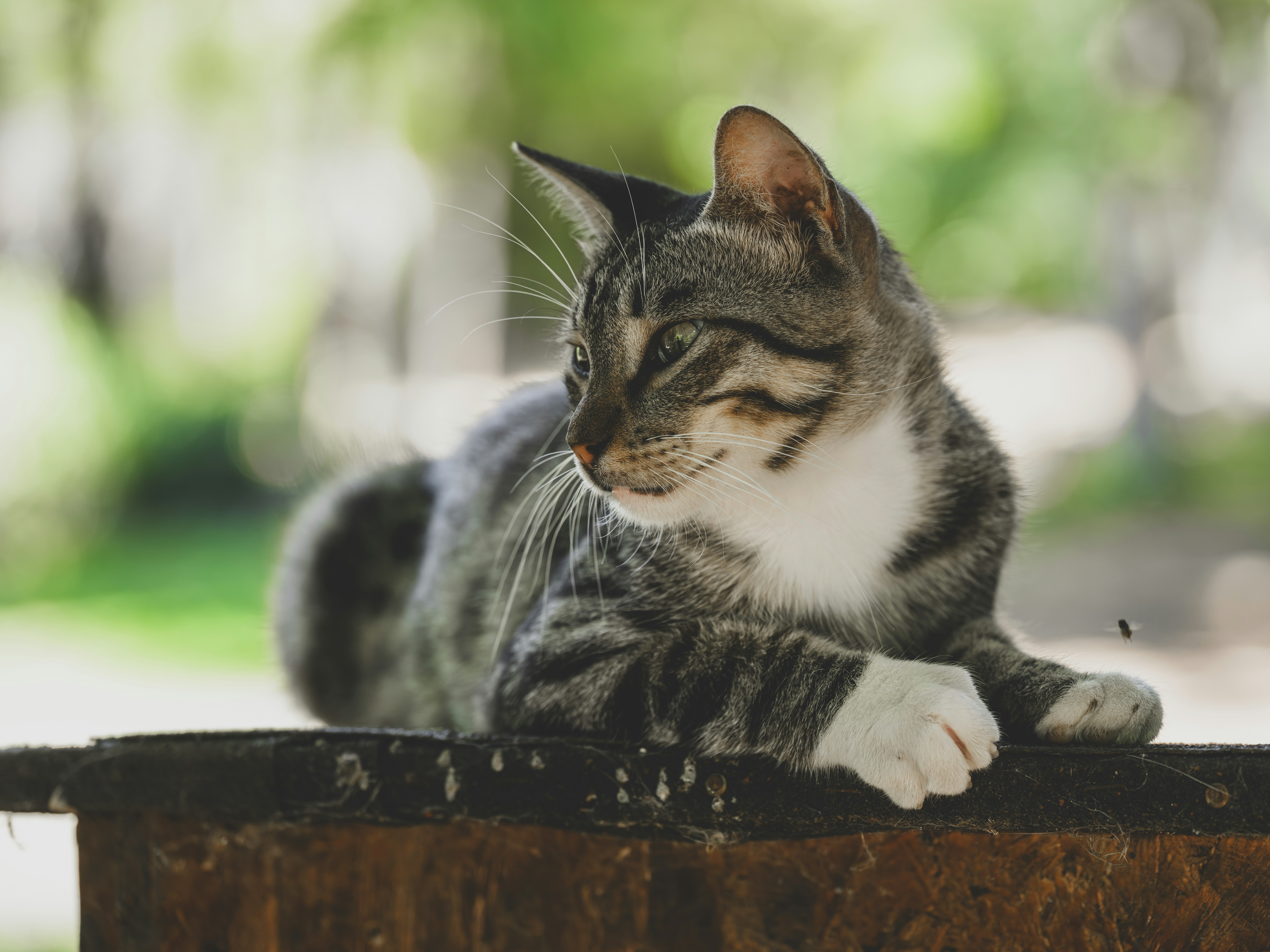 Photo by enginakyurt