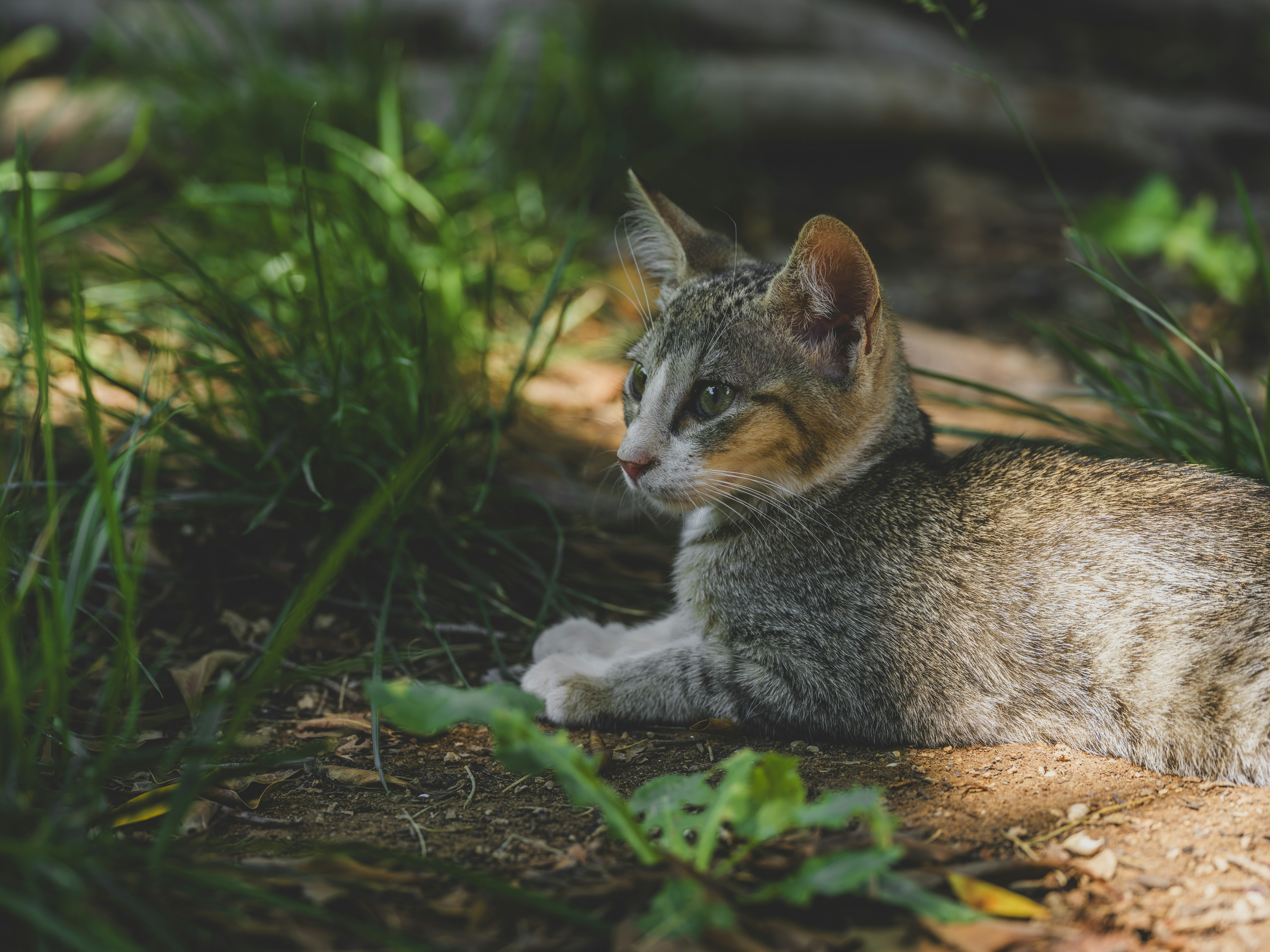 Photo by enginakyurt