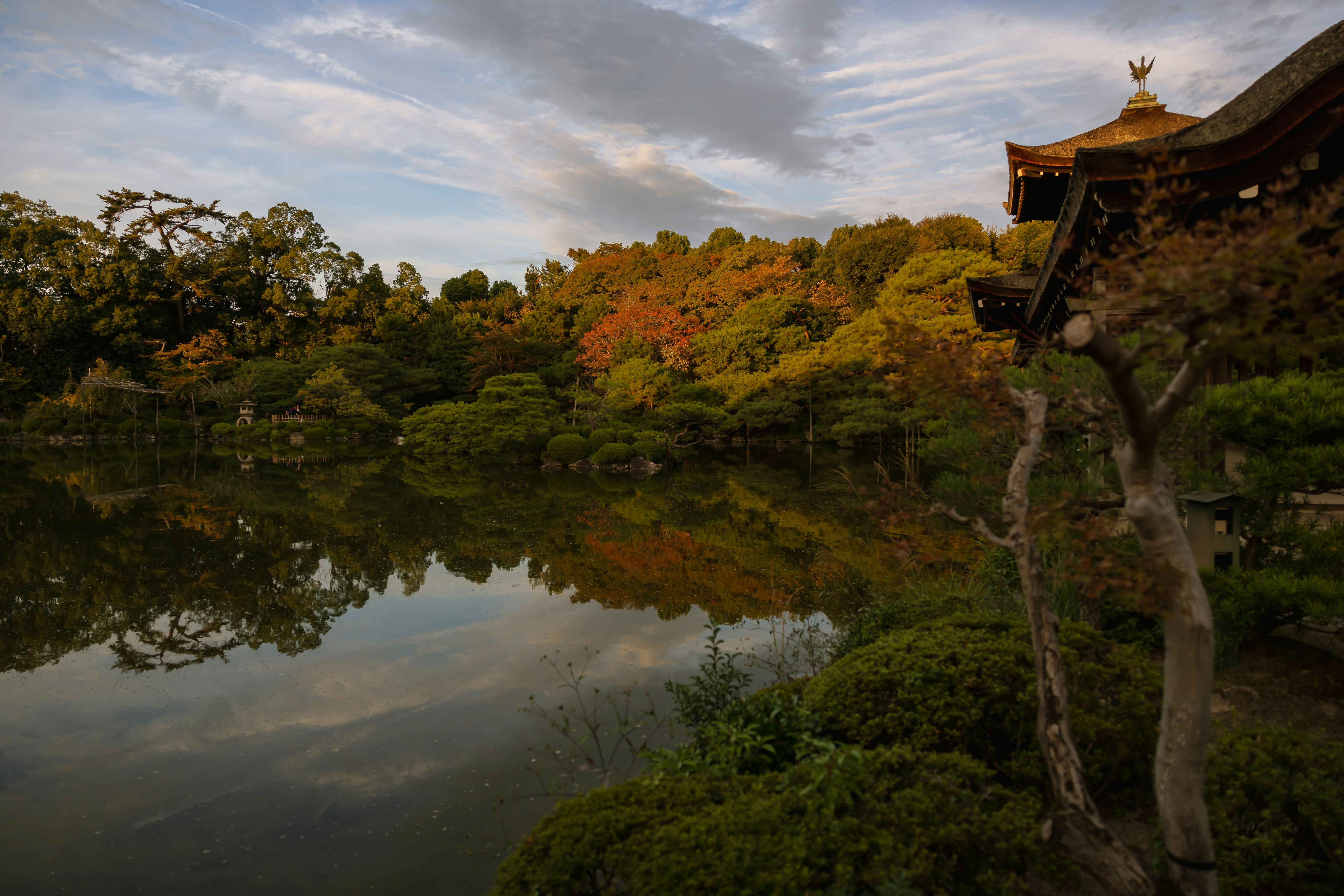 Serenity in the Japanese countryside