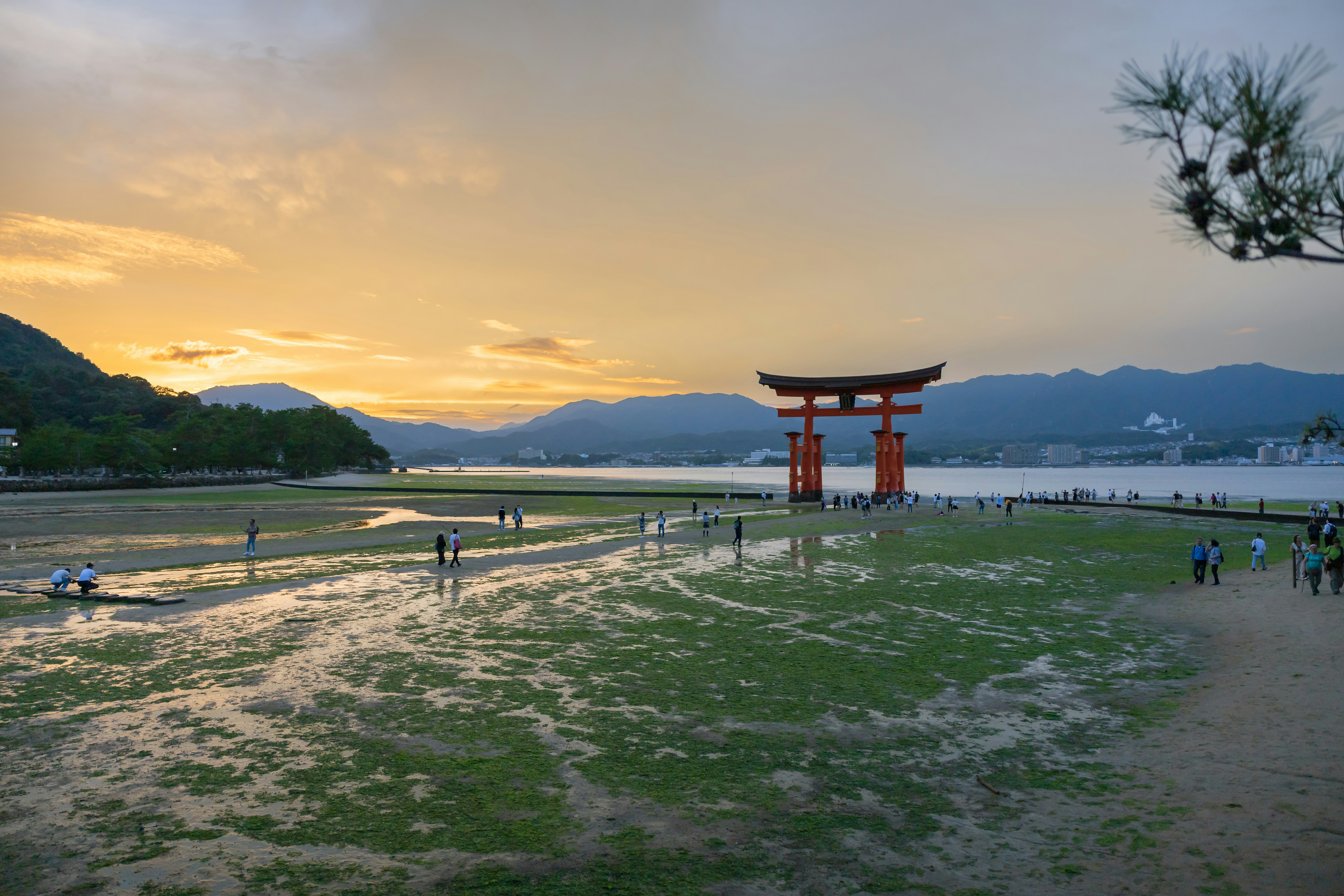 The floating torii gate of Miyajima at high tide