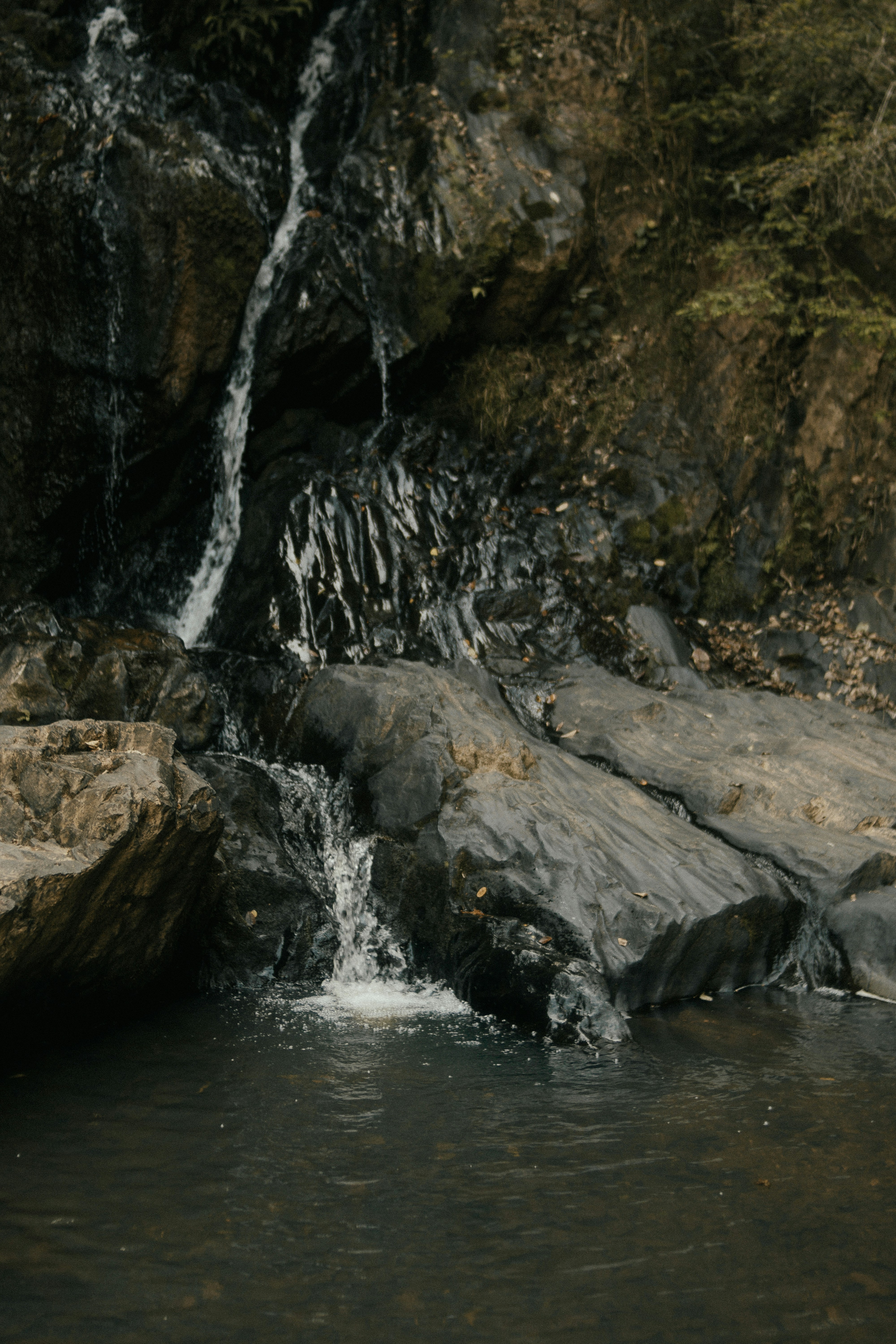 Photo by julianemonari