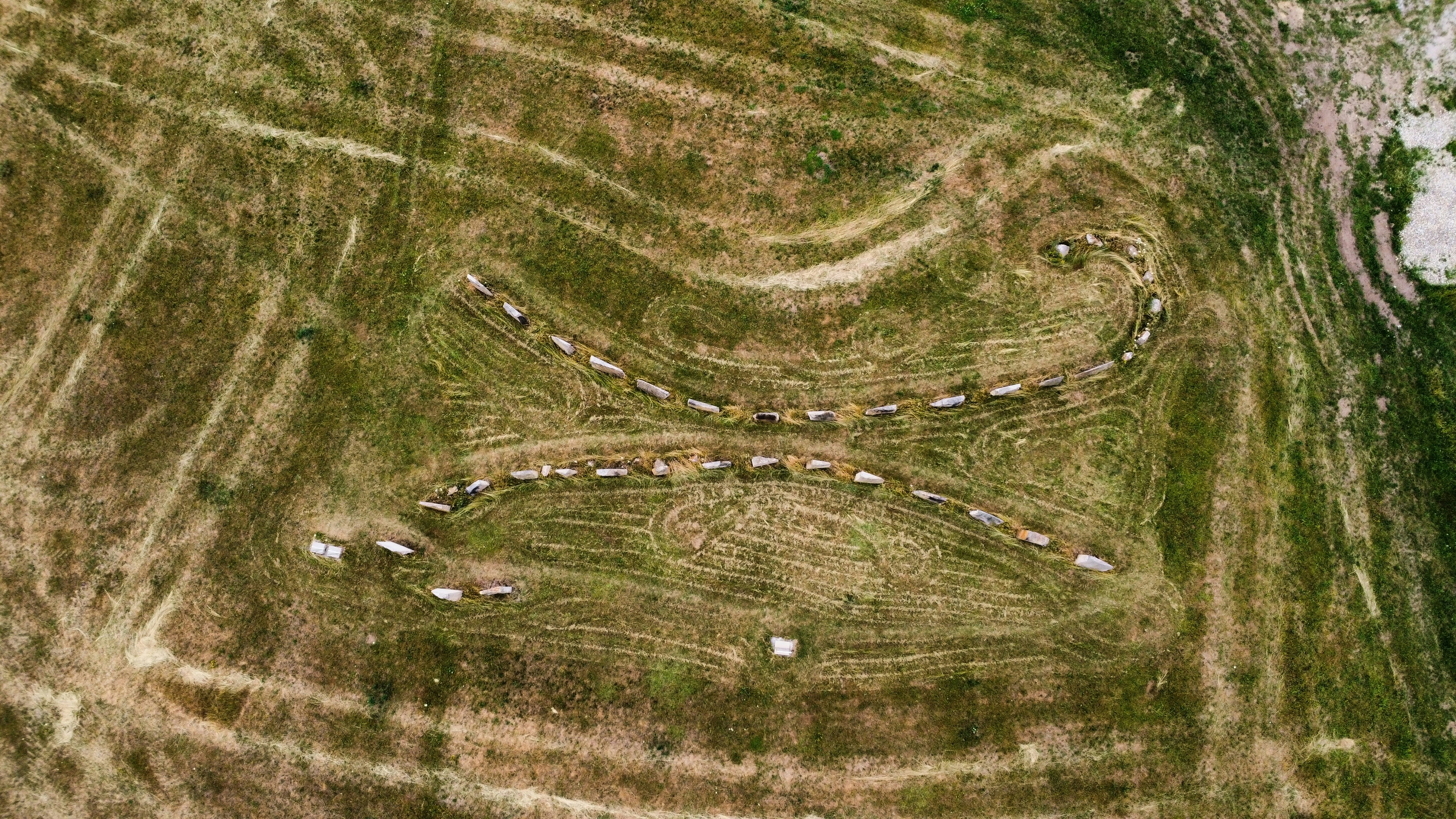 Vehicle coordination